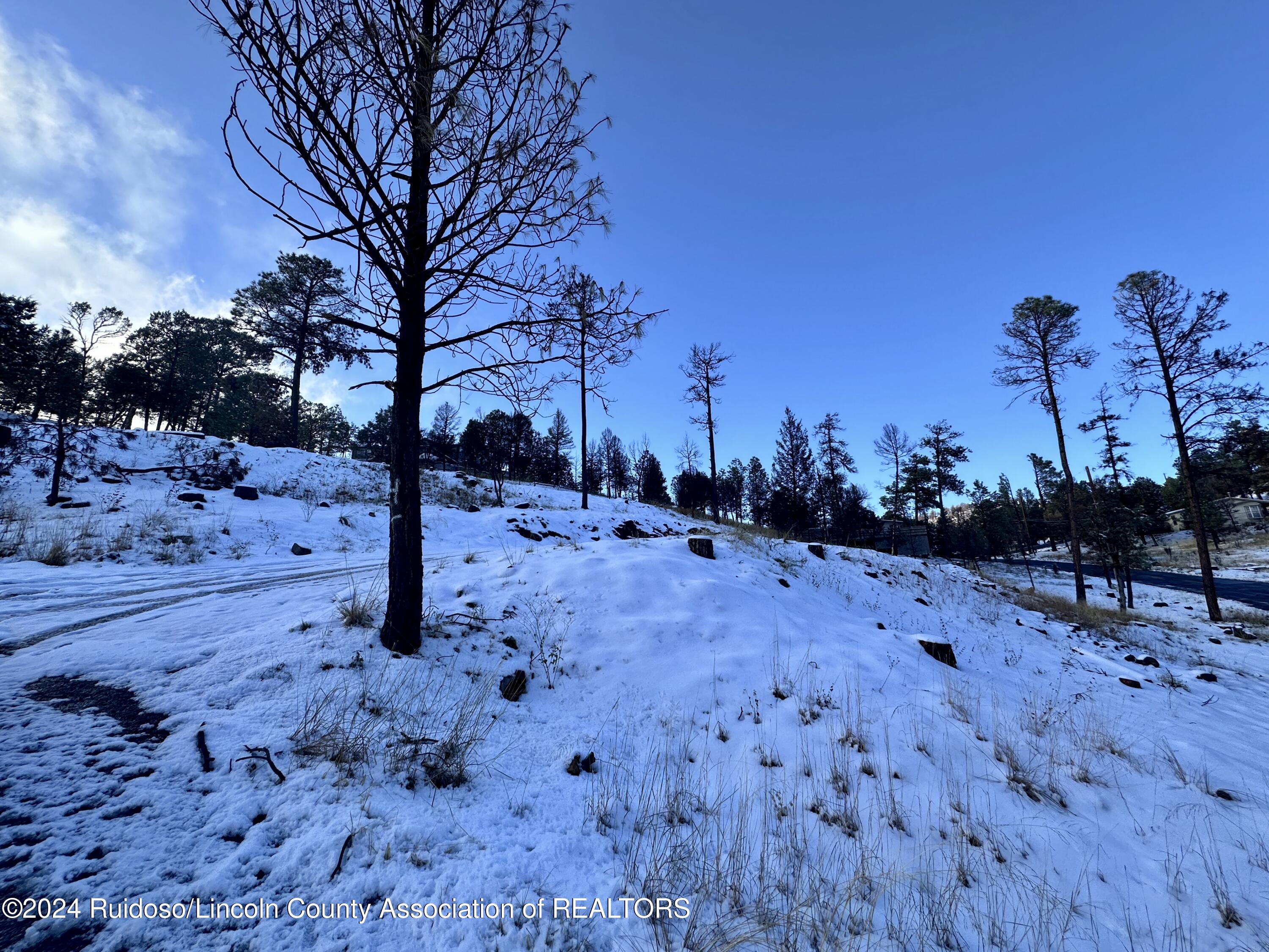 600 Del Norte Dr Dr, Ruidoso, New Mexico image 2