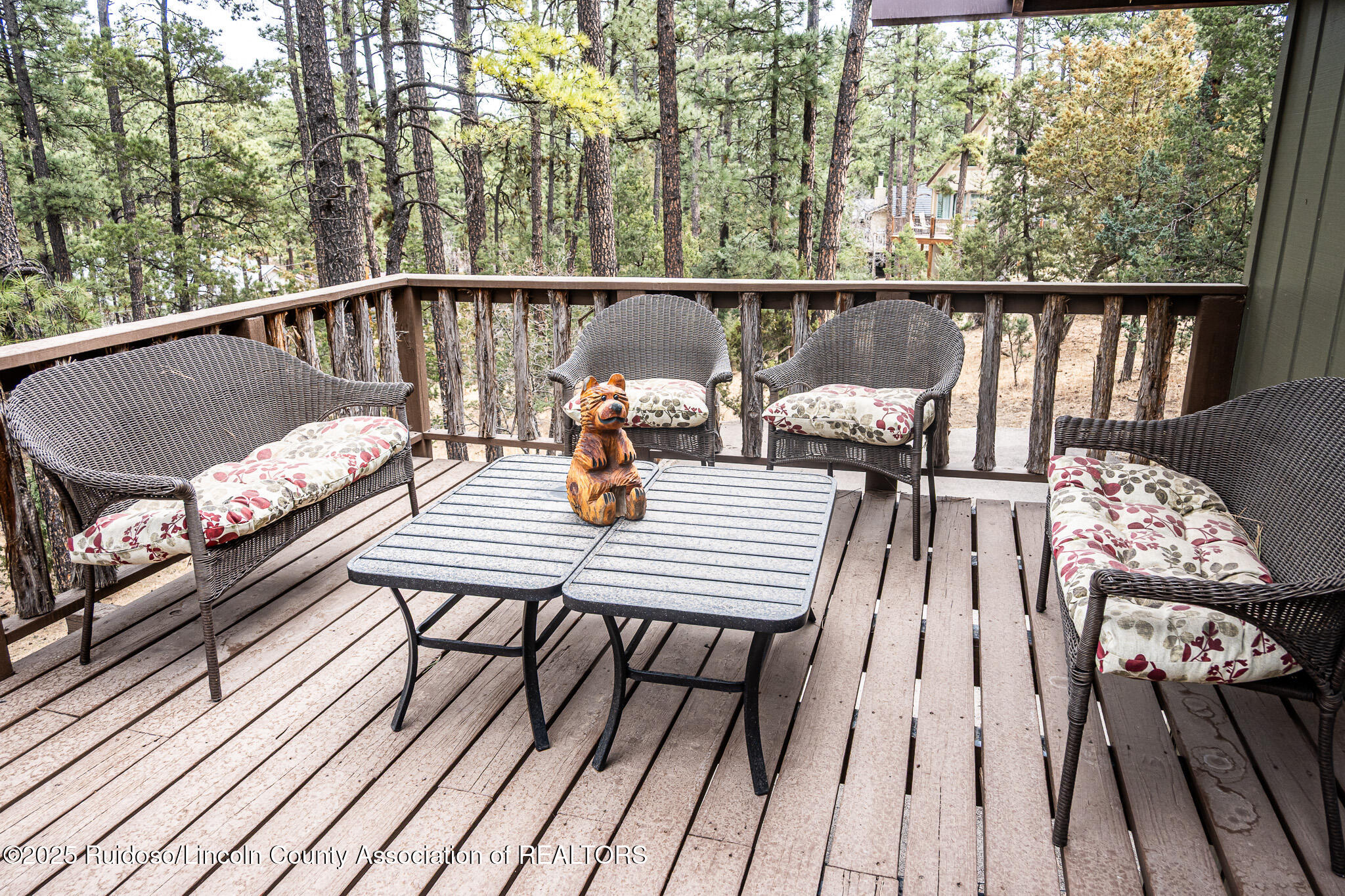 123 Broadmoor Drive, Alto, New Mexico image 45
