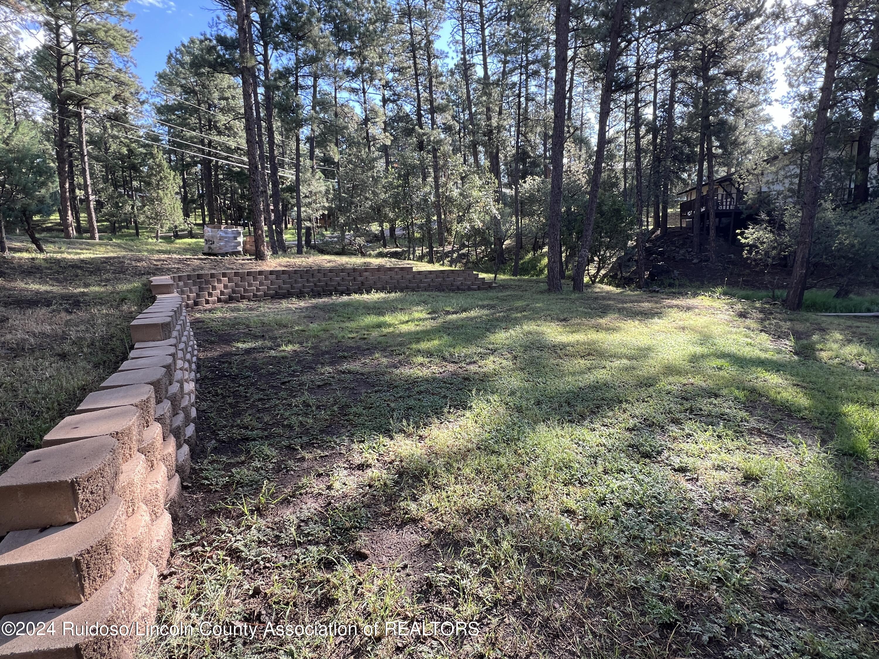 201 Hansen Drive, Ruidoso, New Mexico image 50