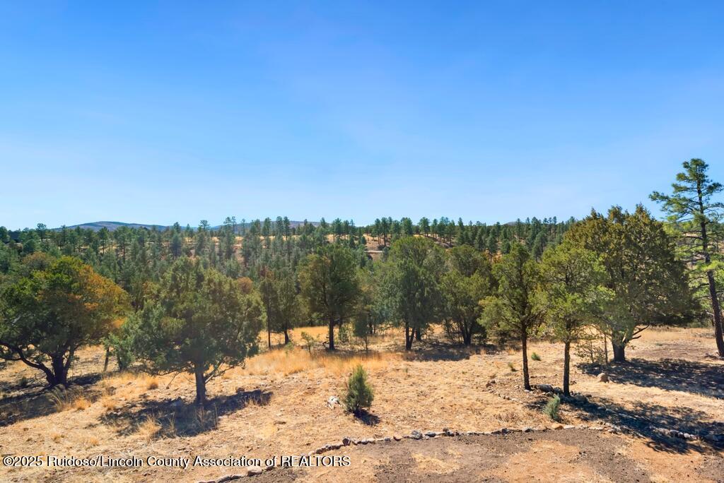 120 Ben Hogan Court, Alto, New Mexico image 33