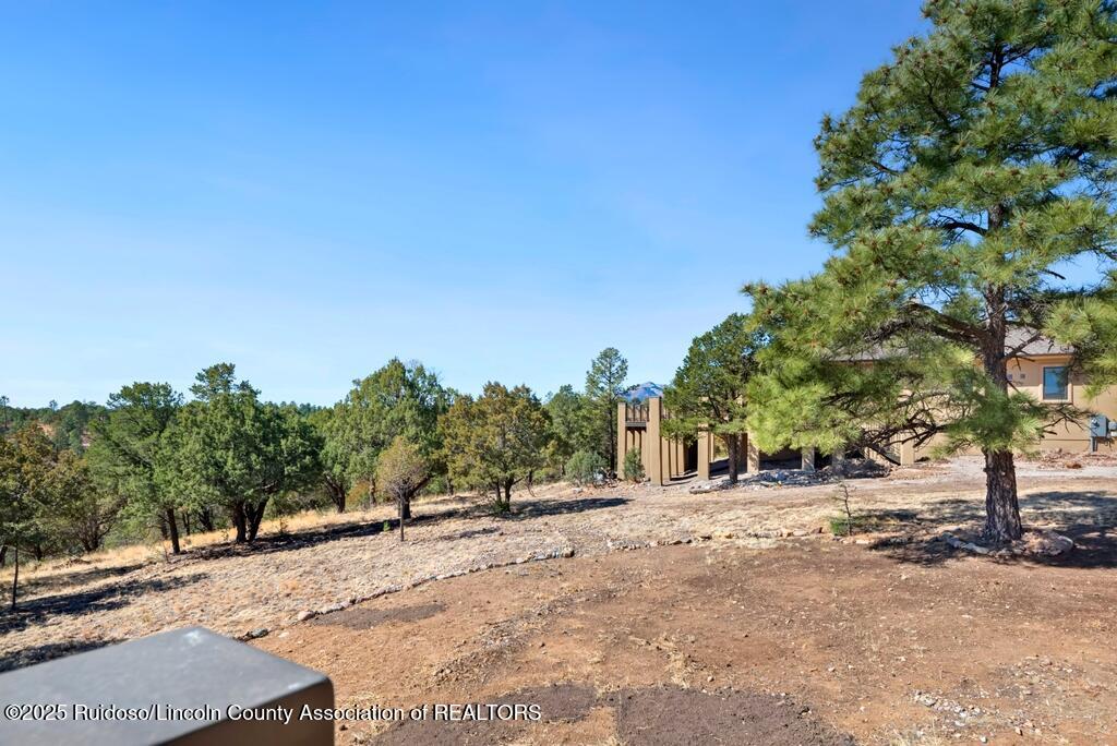 120 Ben Hogan Court, Alto, New Mexico image 34