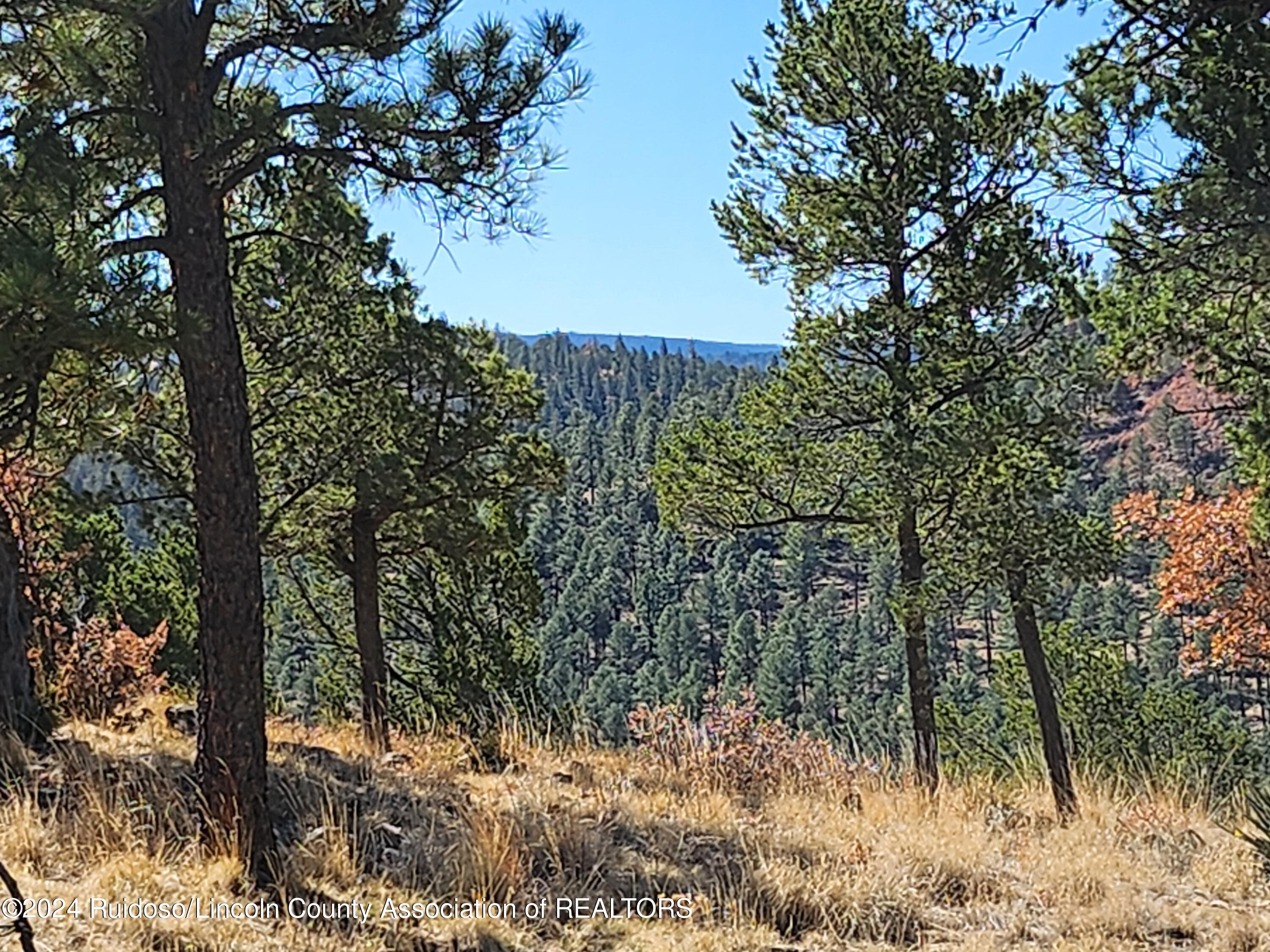 214 Mcbride Drive, Ruidoso, New Mexico image 4