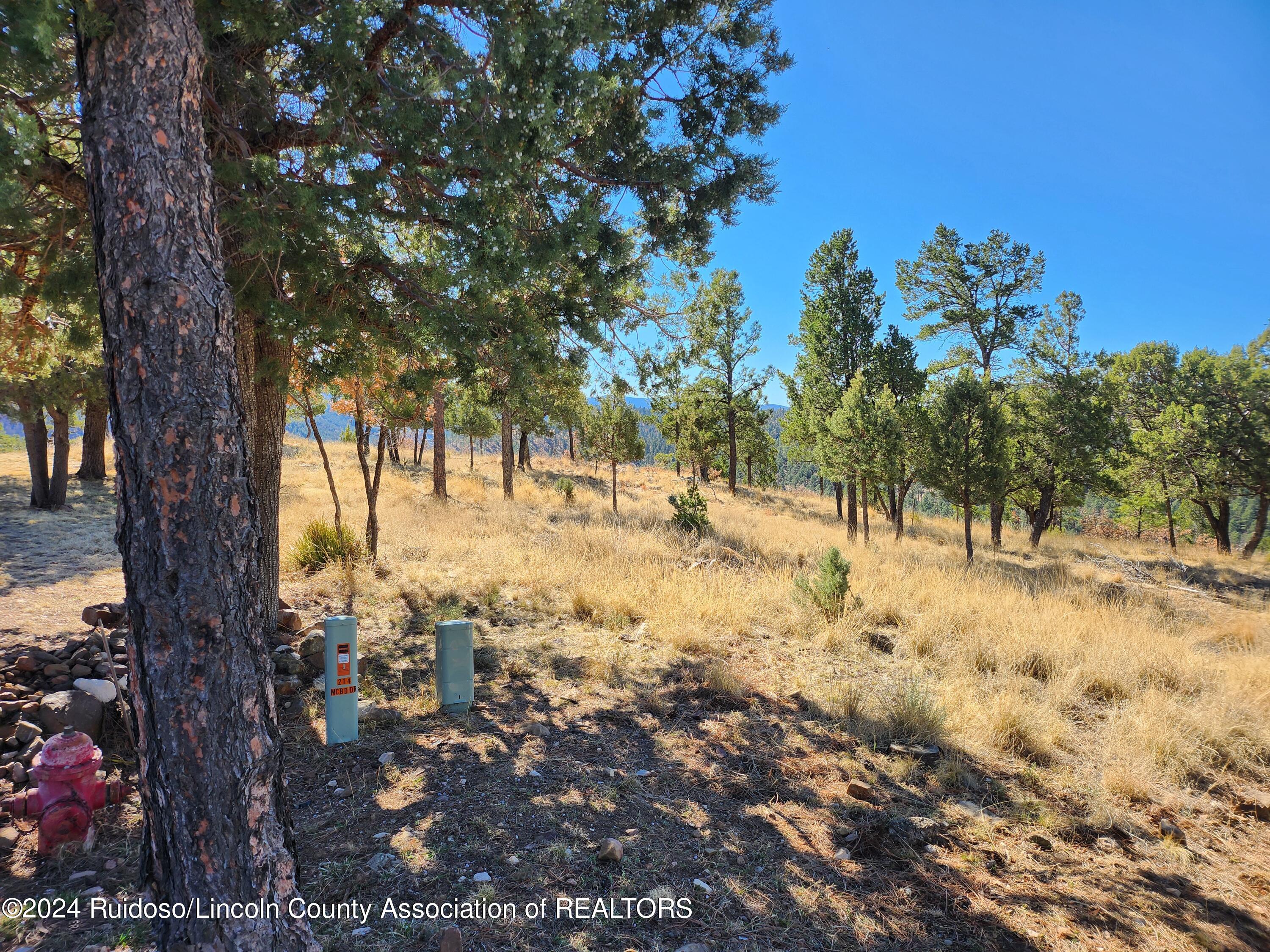 214 Mcbride Drive, Ruidoso, New Mexico image 3