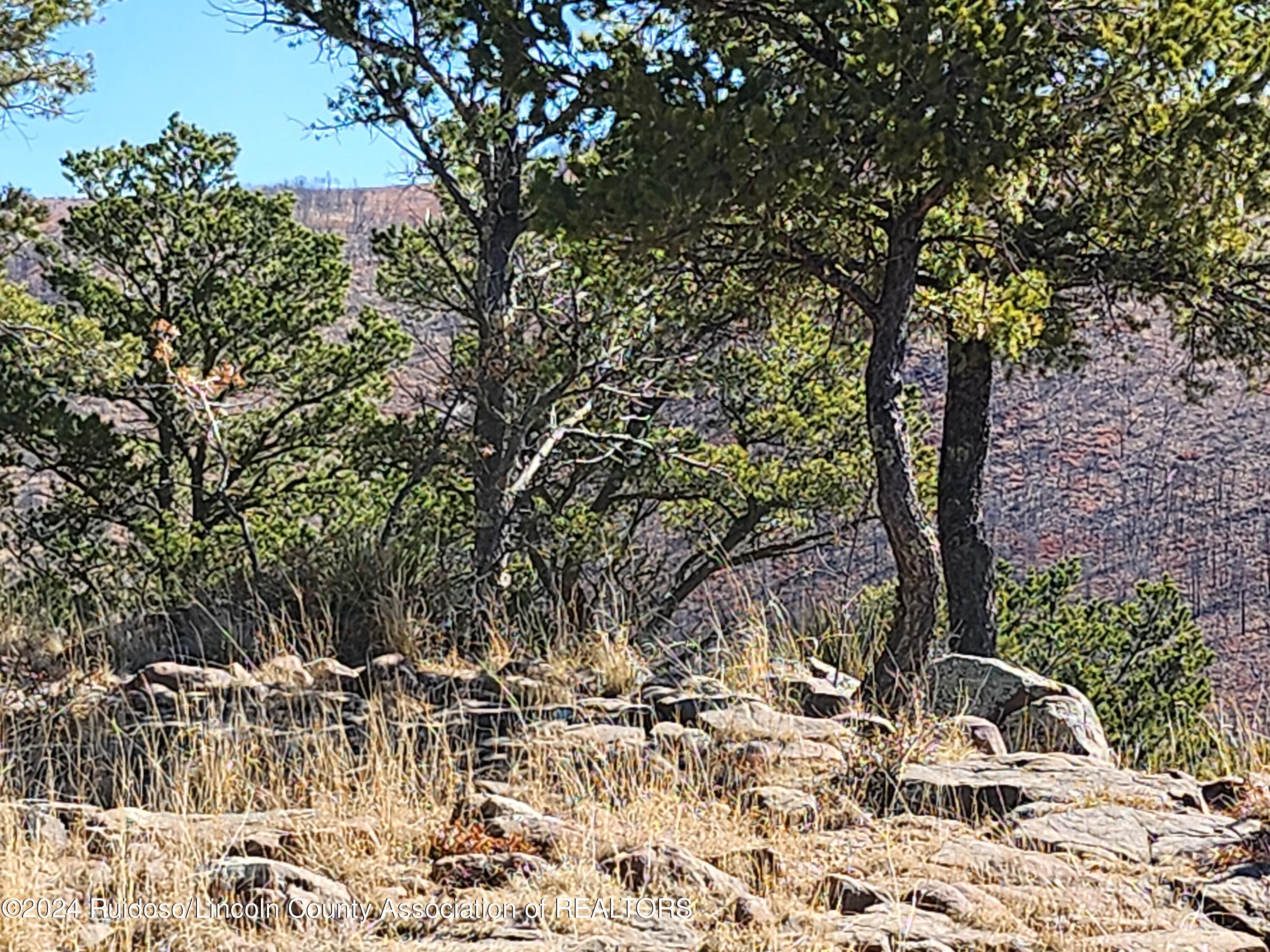 214 Mcbride Drive, Ruidoso, New Mexico image 6