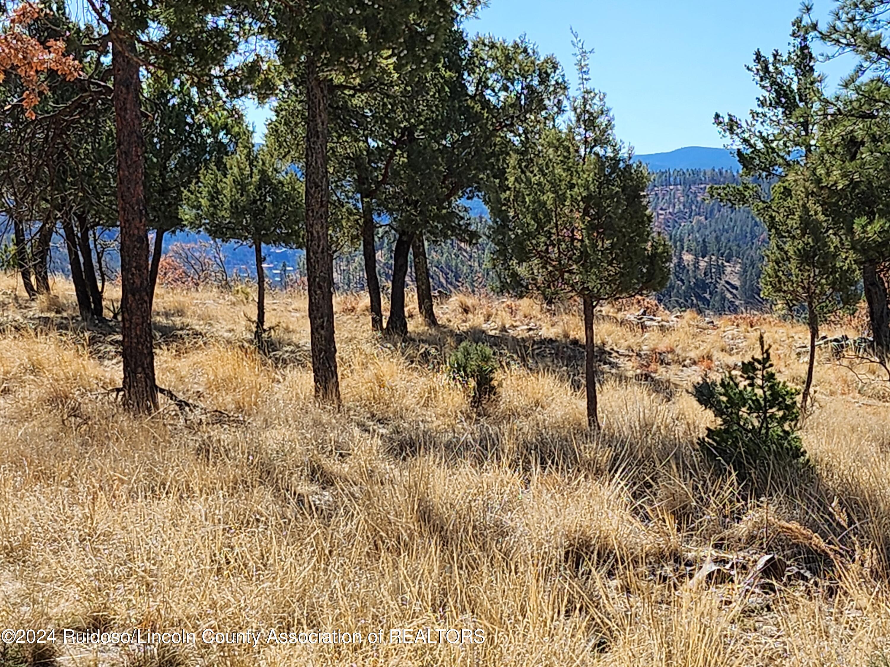 214 Mcbride Drive, Ruidoso, New Mexico image 7