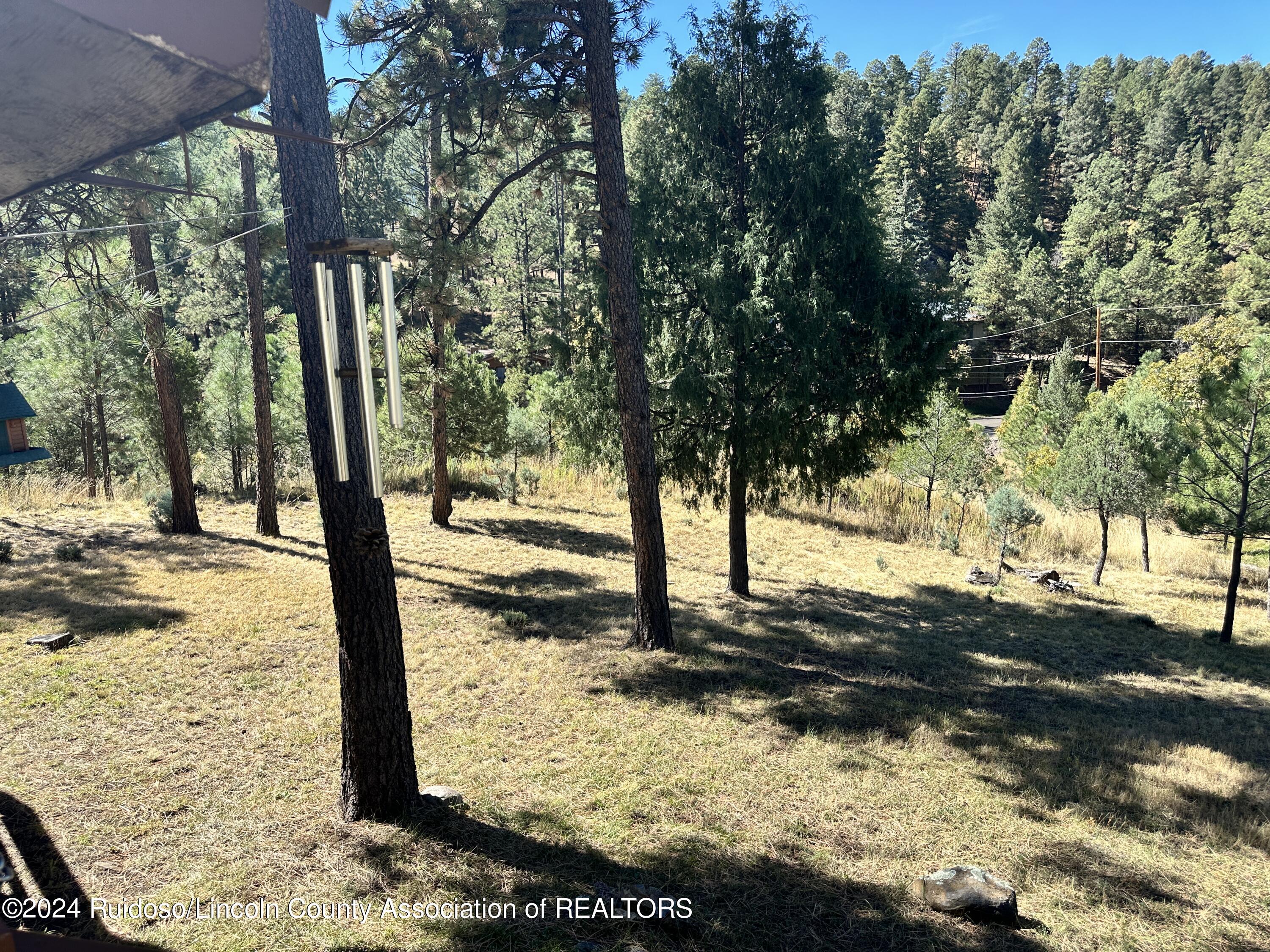 103 Park Place, Ruidoso, New Mexico image 9