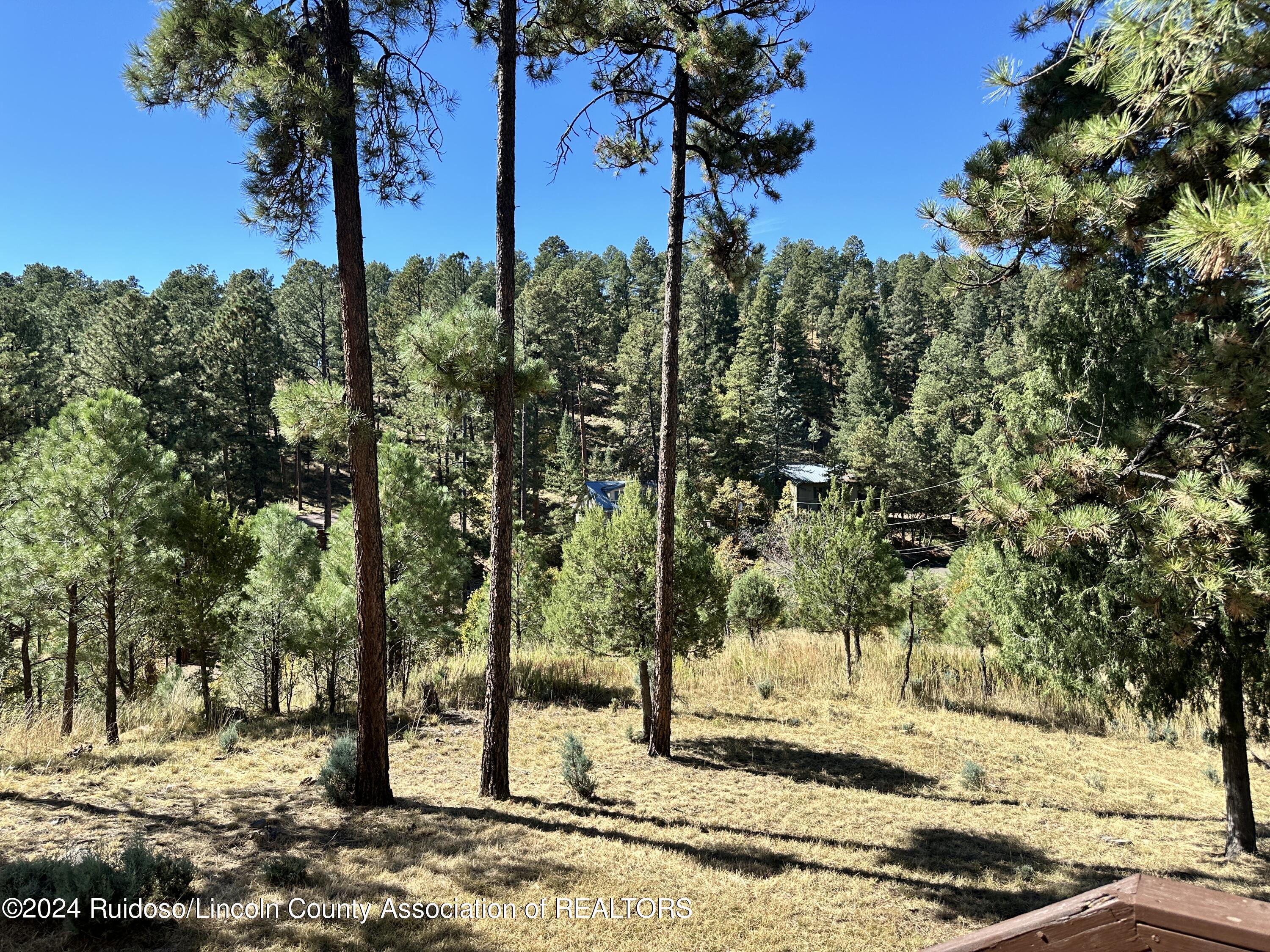 103 Park Place, Ruidoso, New Mexico image 12