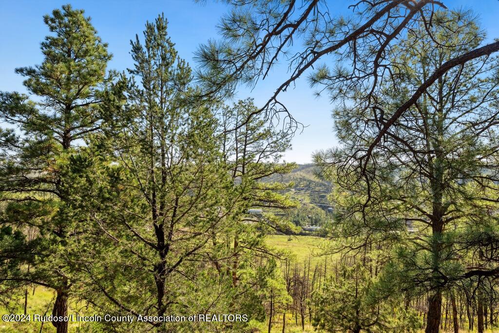 408 Mcbride Drive, Ruidoso, New Mexico image 30