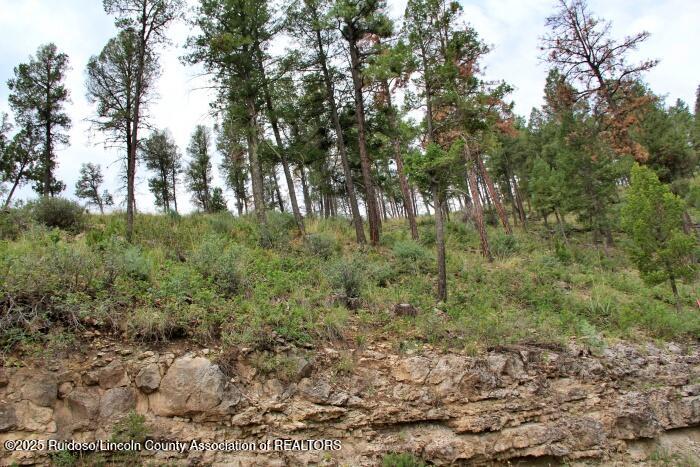 Ruidoso, New Mexico 88345, United States, ,Land,Active,189147