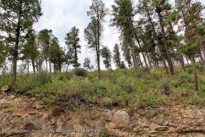 Ruidoso, New Mexico 88345, United States, ,Land,Active,189147