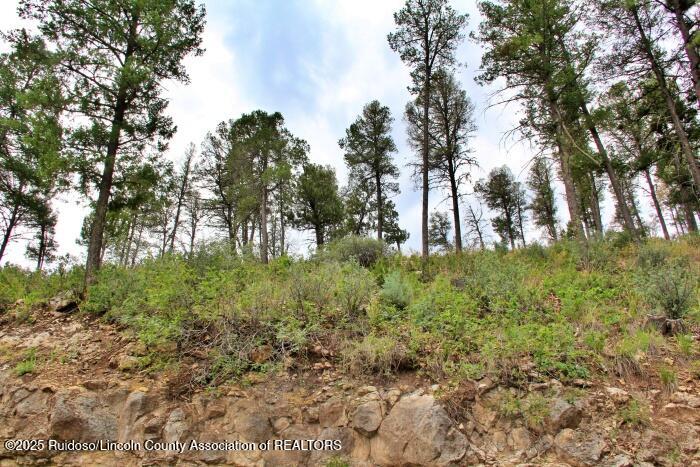 Ruidoso, New Mexico 88345, United States, ,Land,Active,189147