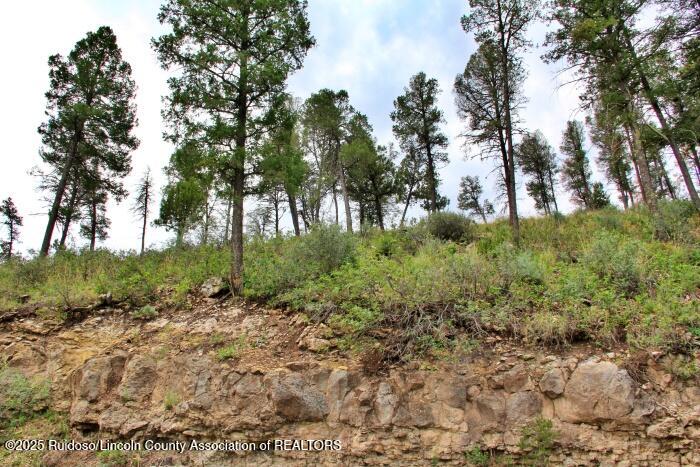 Ruidoso, New Mexico 88345, United States, ,Land,Active,189147