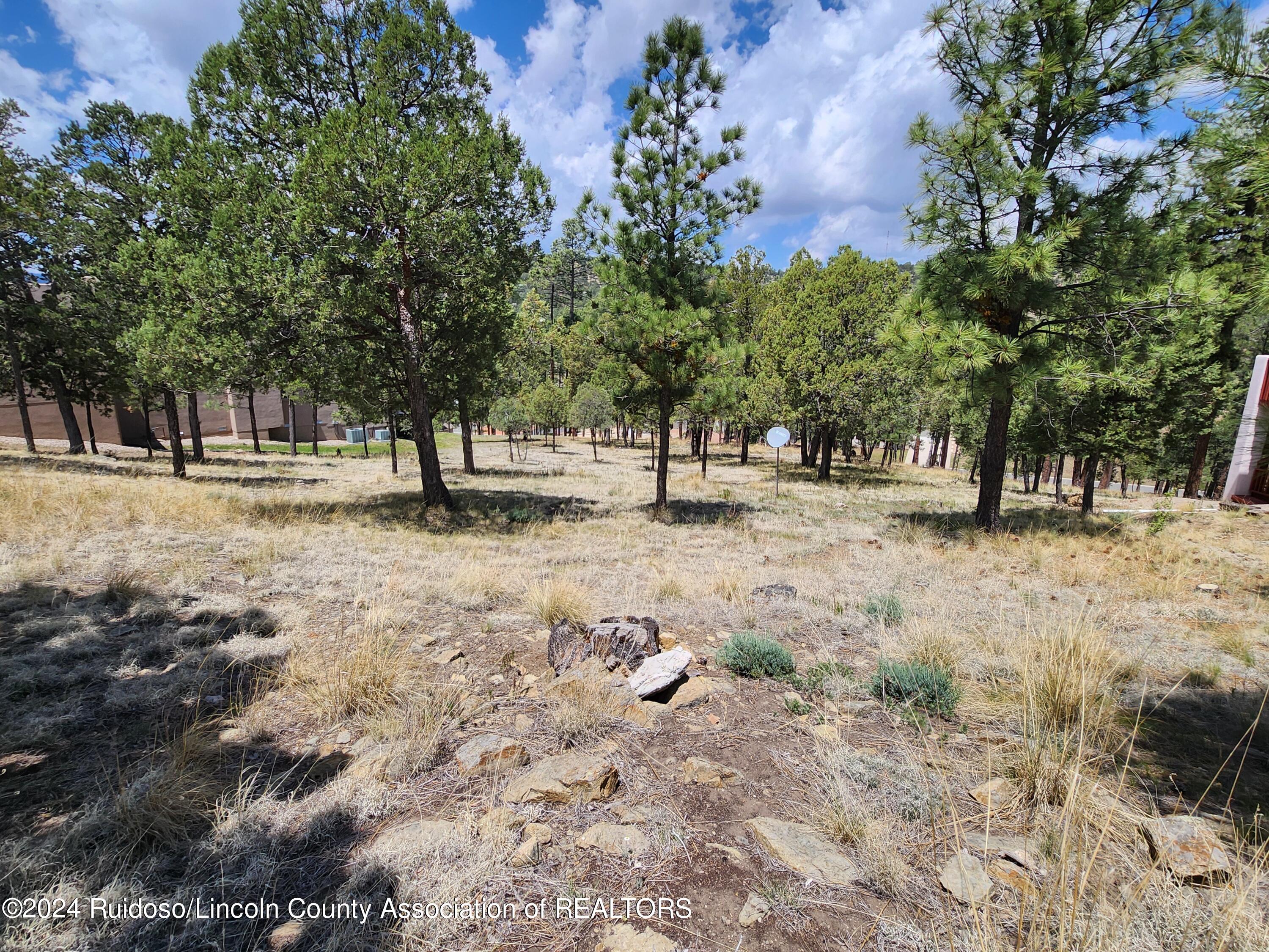 116 Pat Thompson Court, Ruidoso, New Mexico image 2