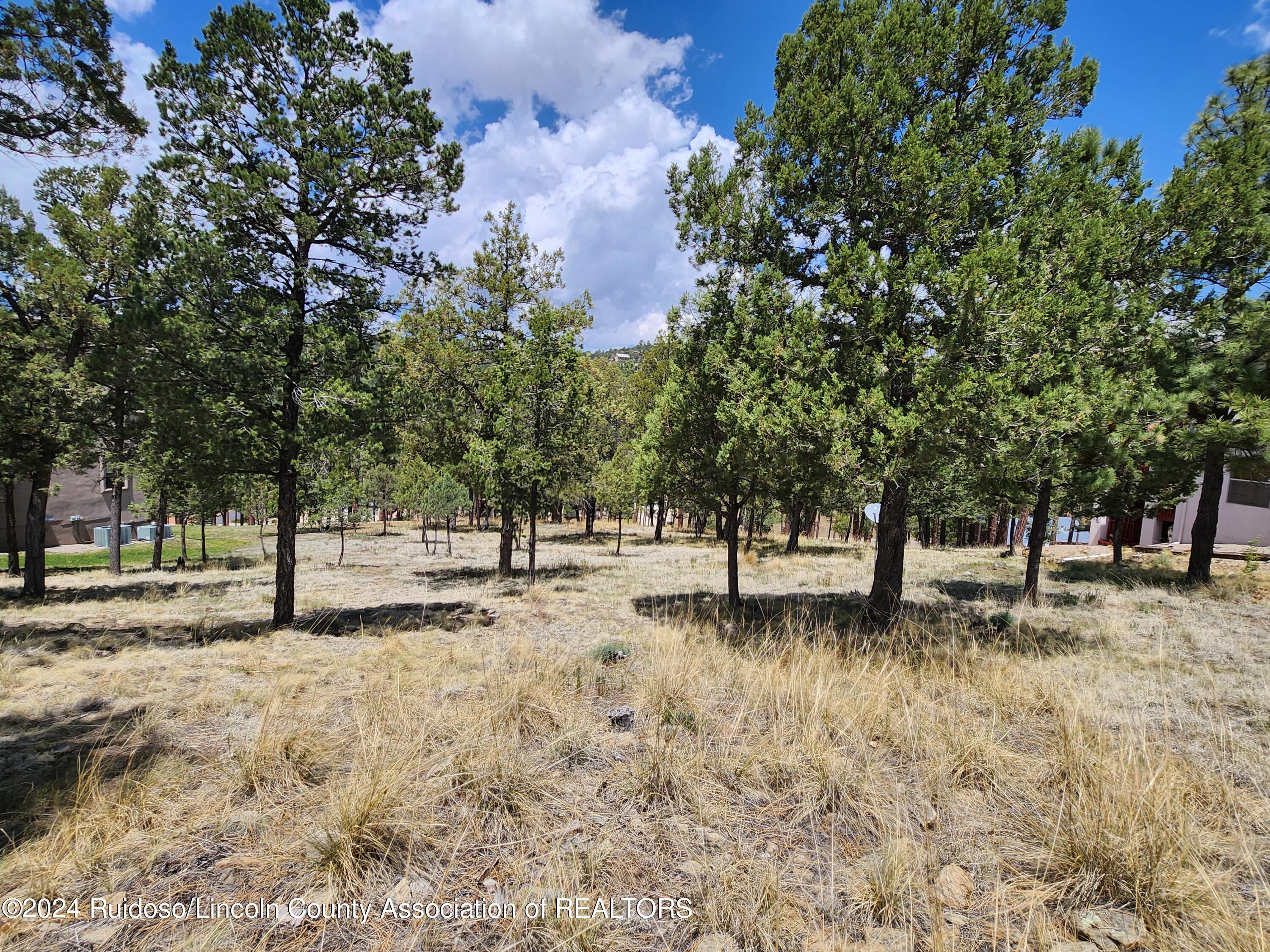 116 Pat Thompson Court, Ruidoso, New Mexico image 3