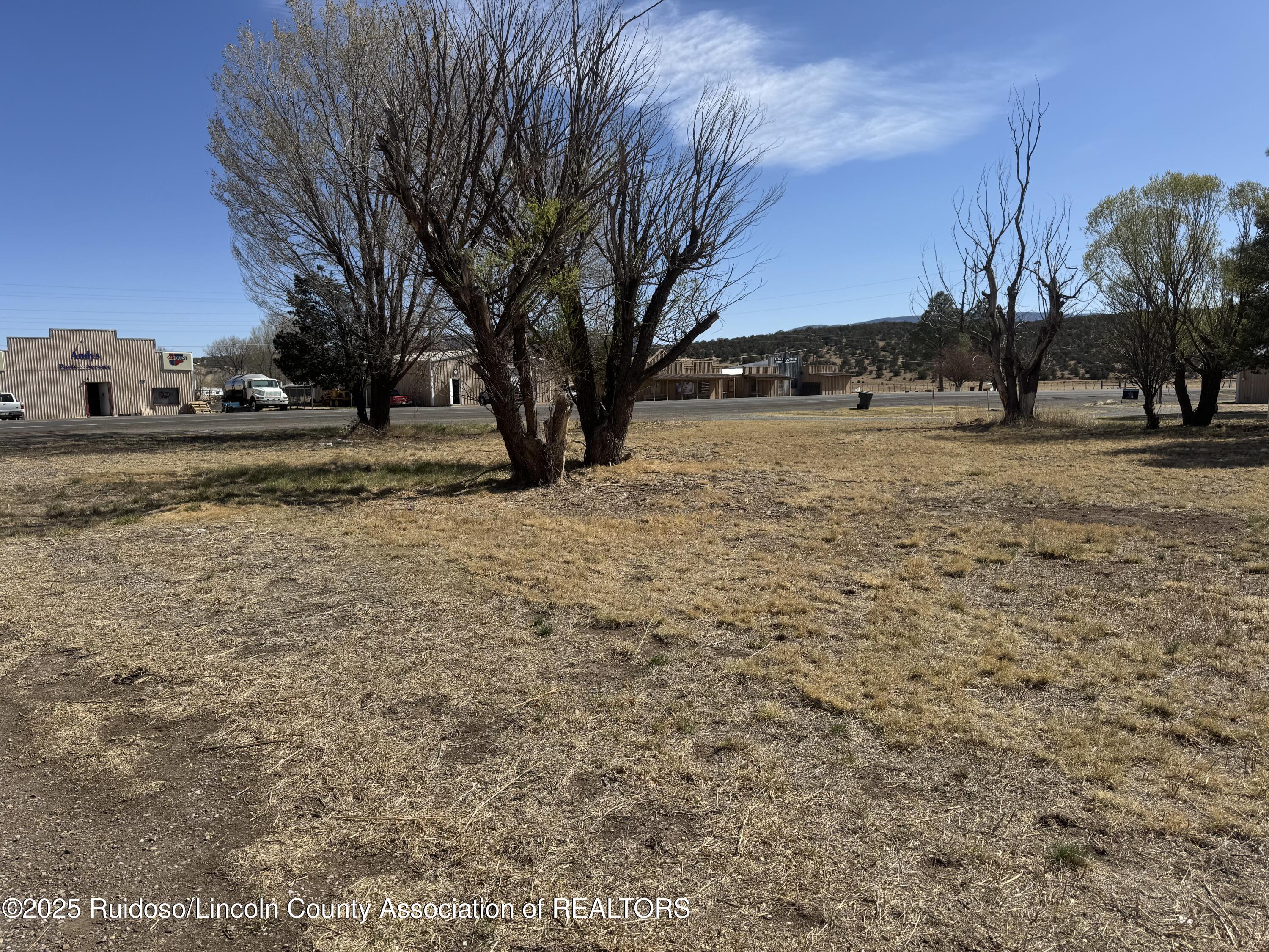 302 Smokey Bear Boulevard, Capitan, New Mexico image 4