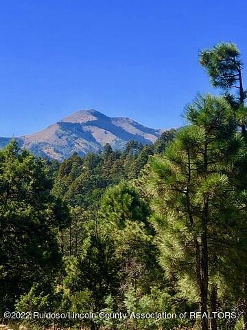 Vacant Land For Sale - -- Nm-48<br/> Lincoln County, Alto, NM 88312