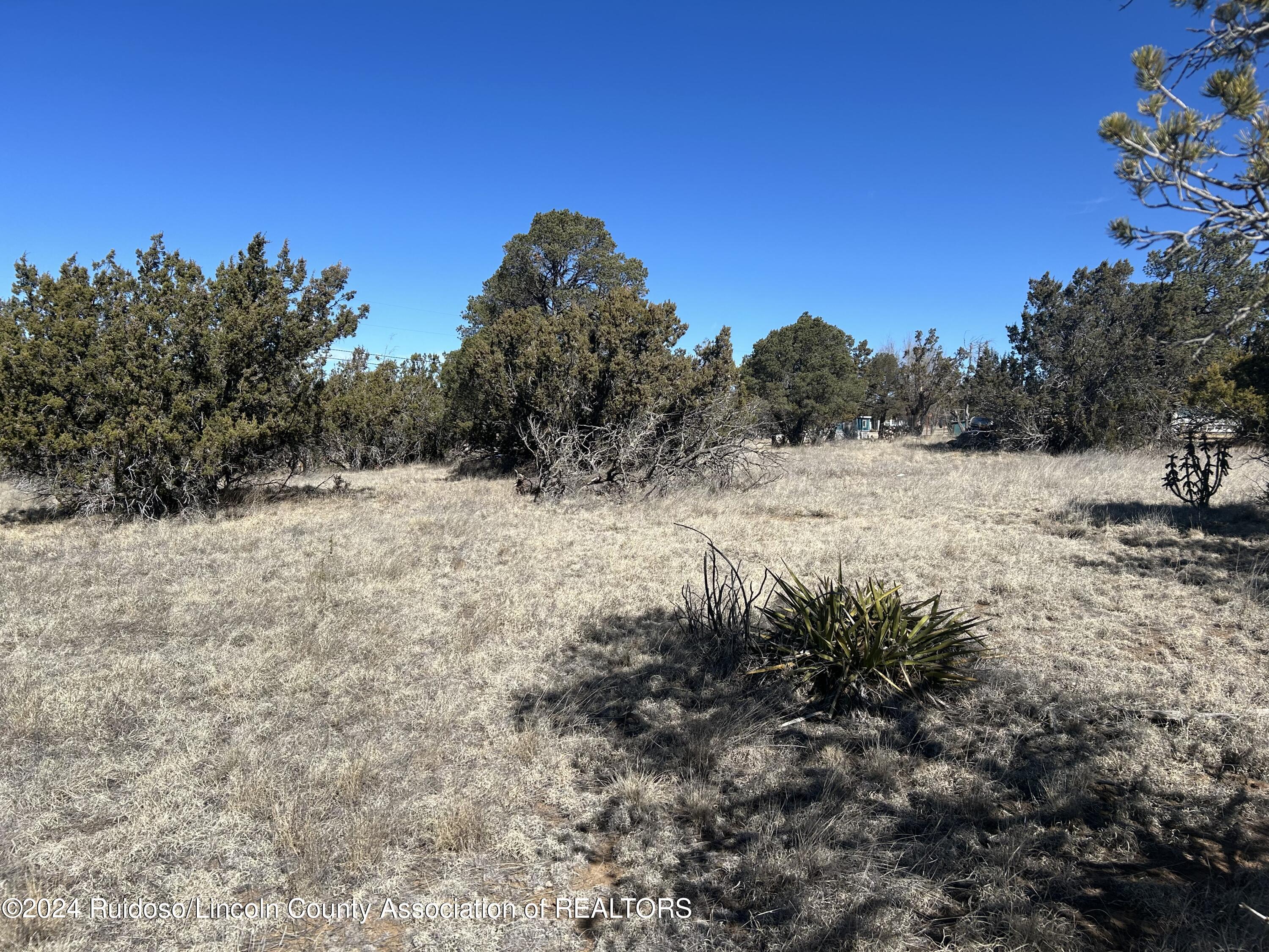 109 Crest View Road, Capitan, New Mexico image 13