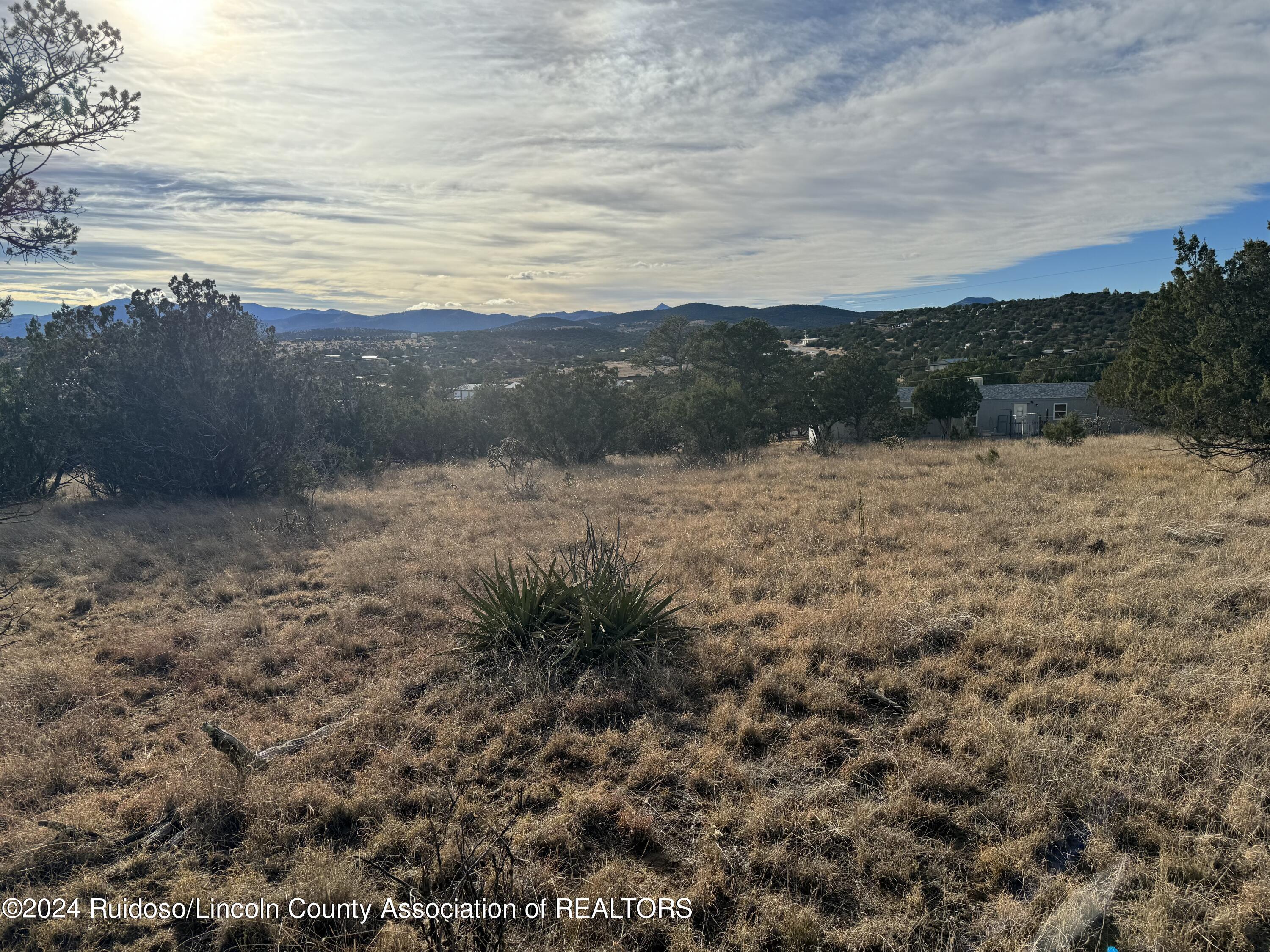 109 Crest View Road, Capitan, New Mexico image 5