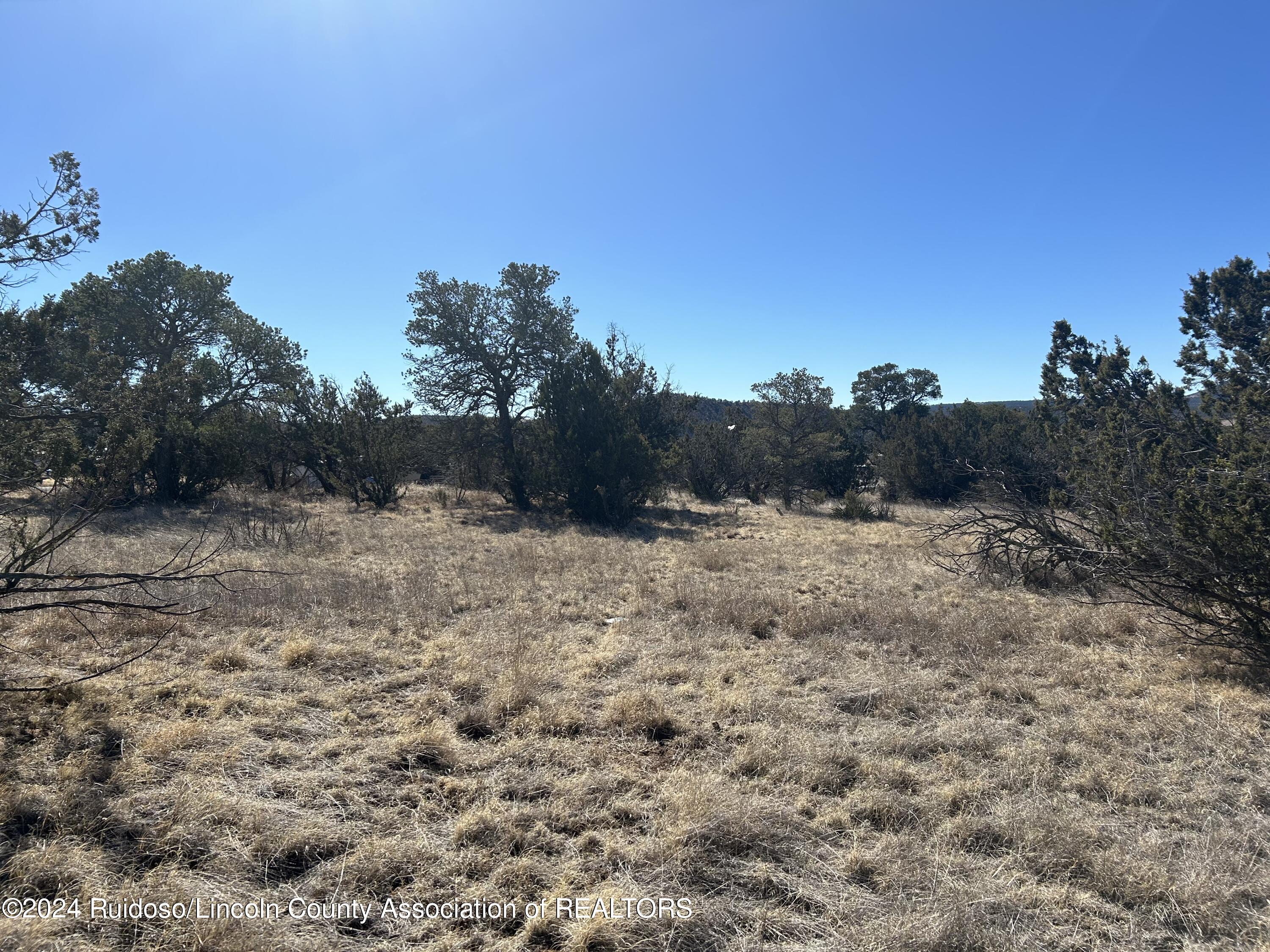 109 Crest View Road, Capitan, New Mexico image 15