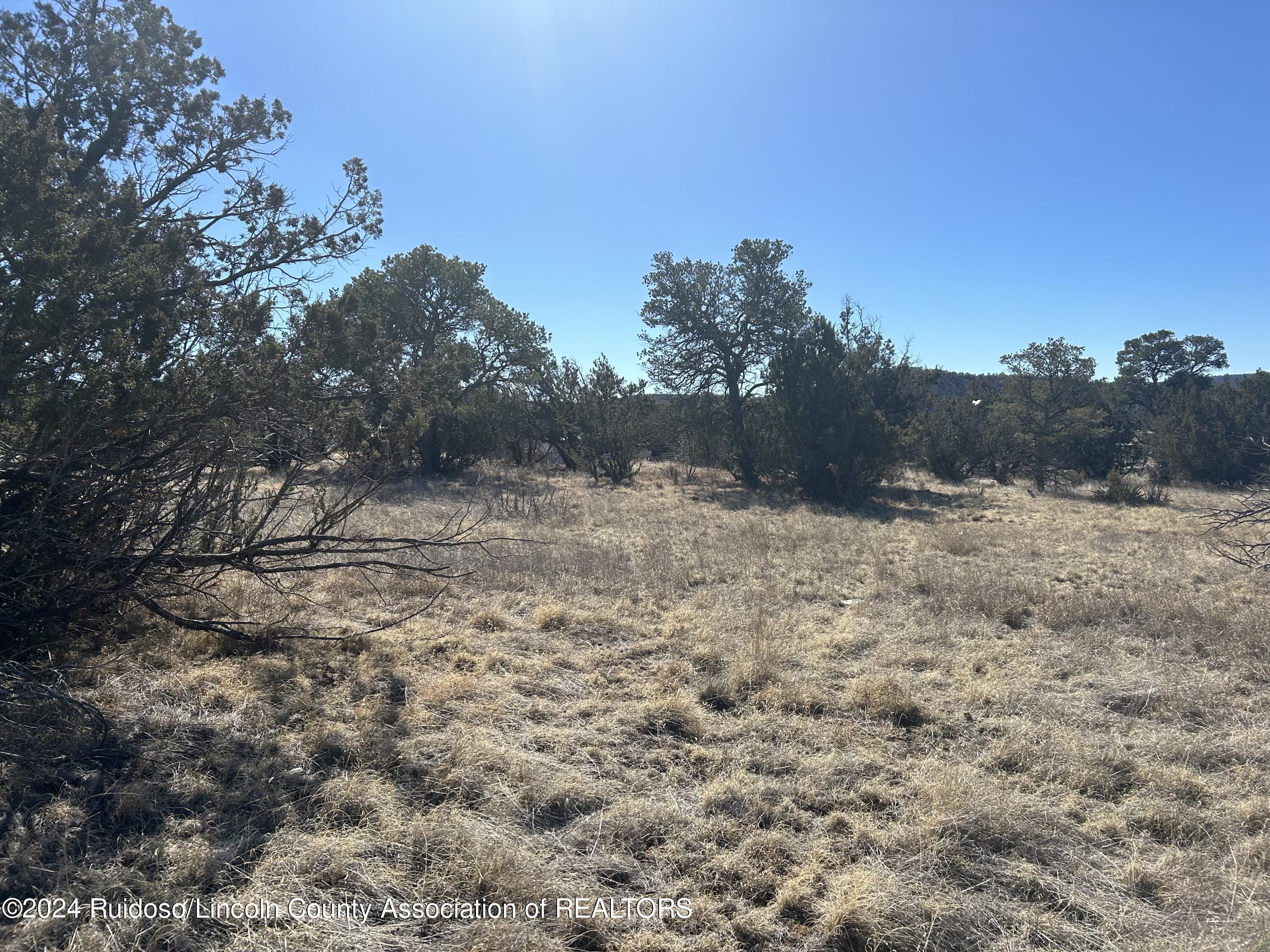 109 Crest View Road, Capitan, New Mexico image 14