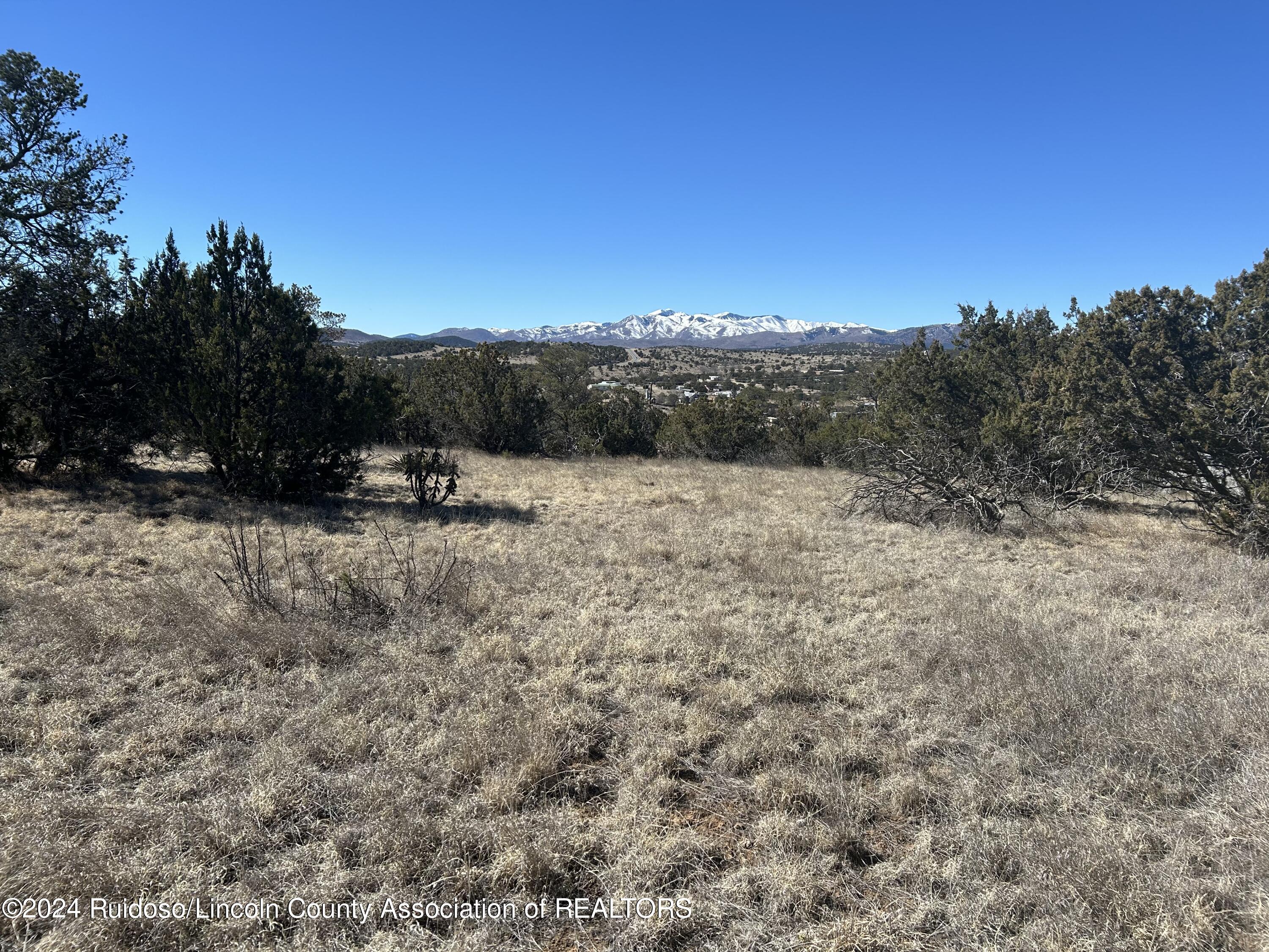 109 Crest View Road, Capitan, New Mexico image 8