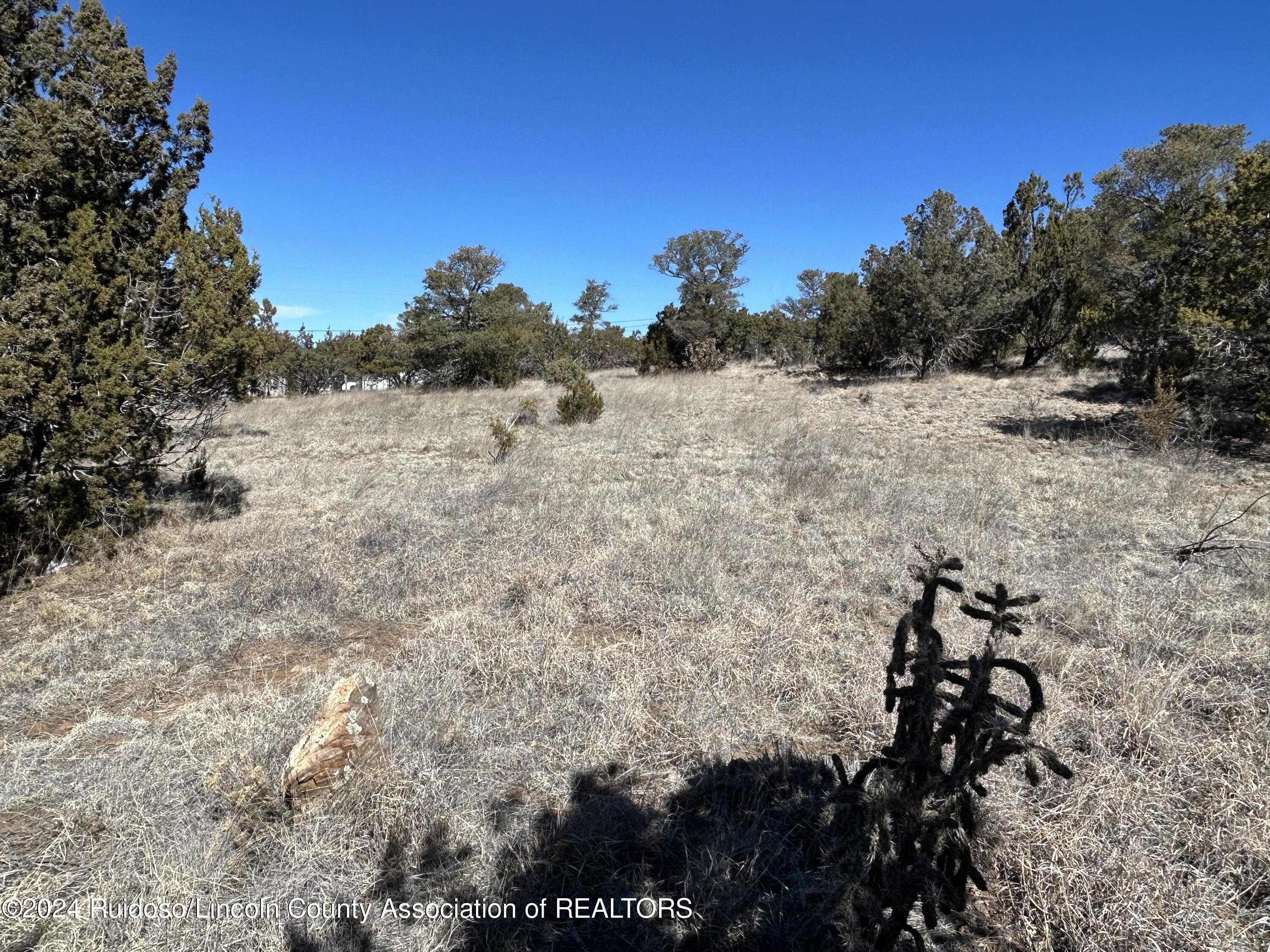 109 Crest View Road, Capitan, New Mexico image 9