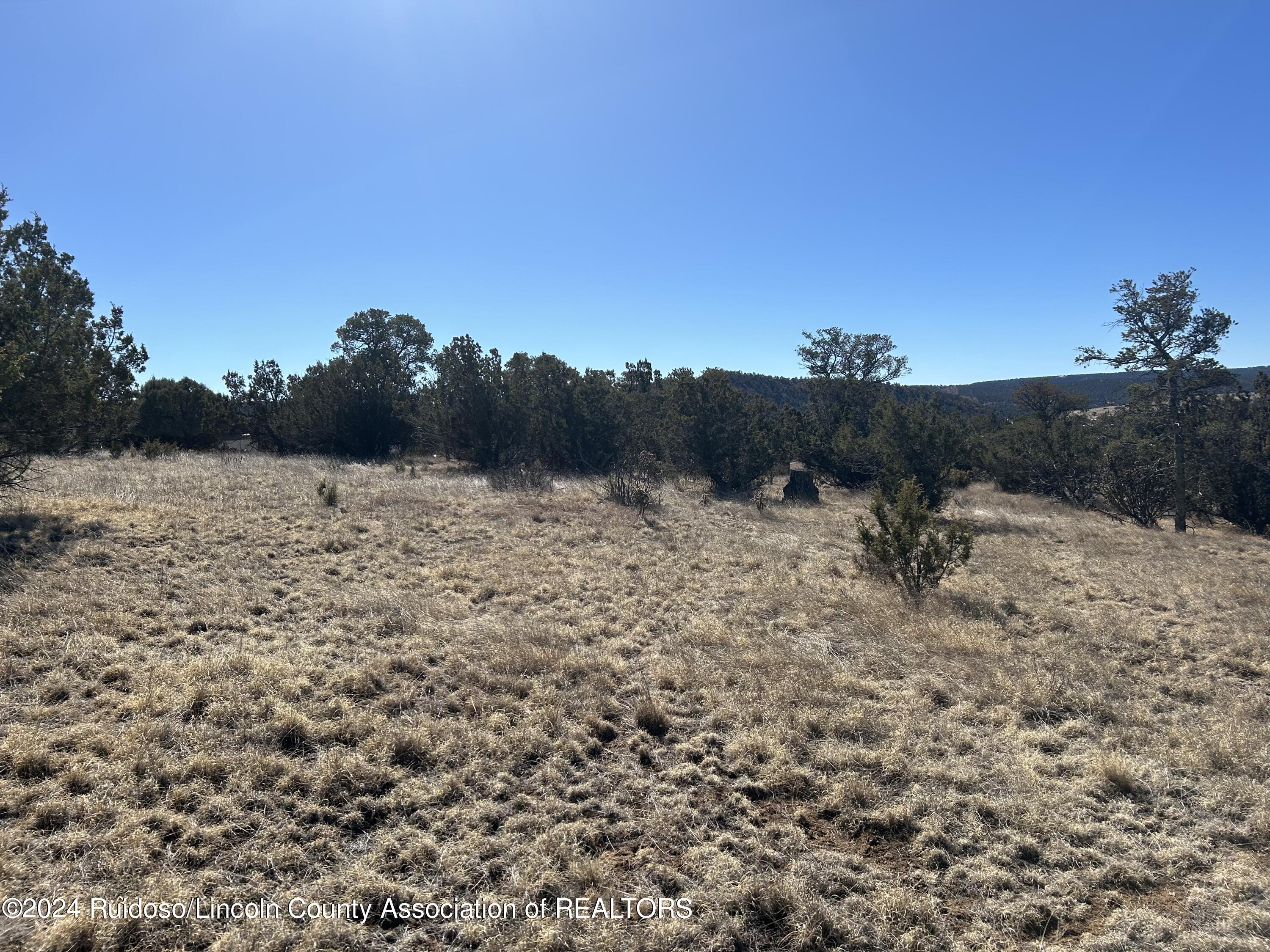 109 Crest View Road, Capitan, New Mexico image 7