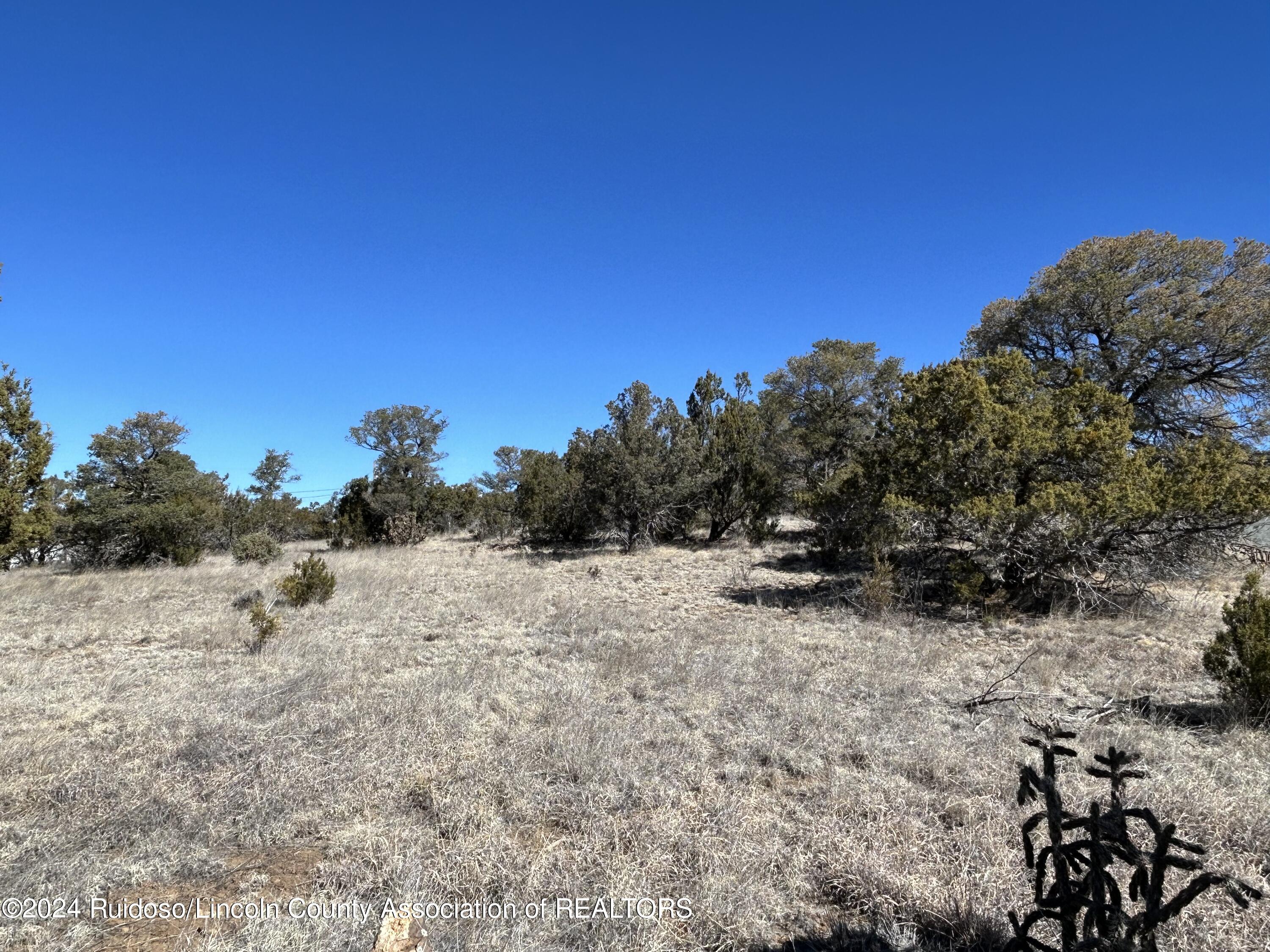 109 Crest View Road, Capitan, New Mexico image 16