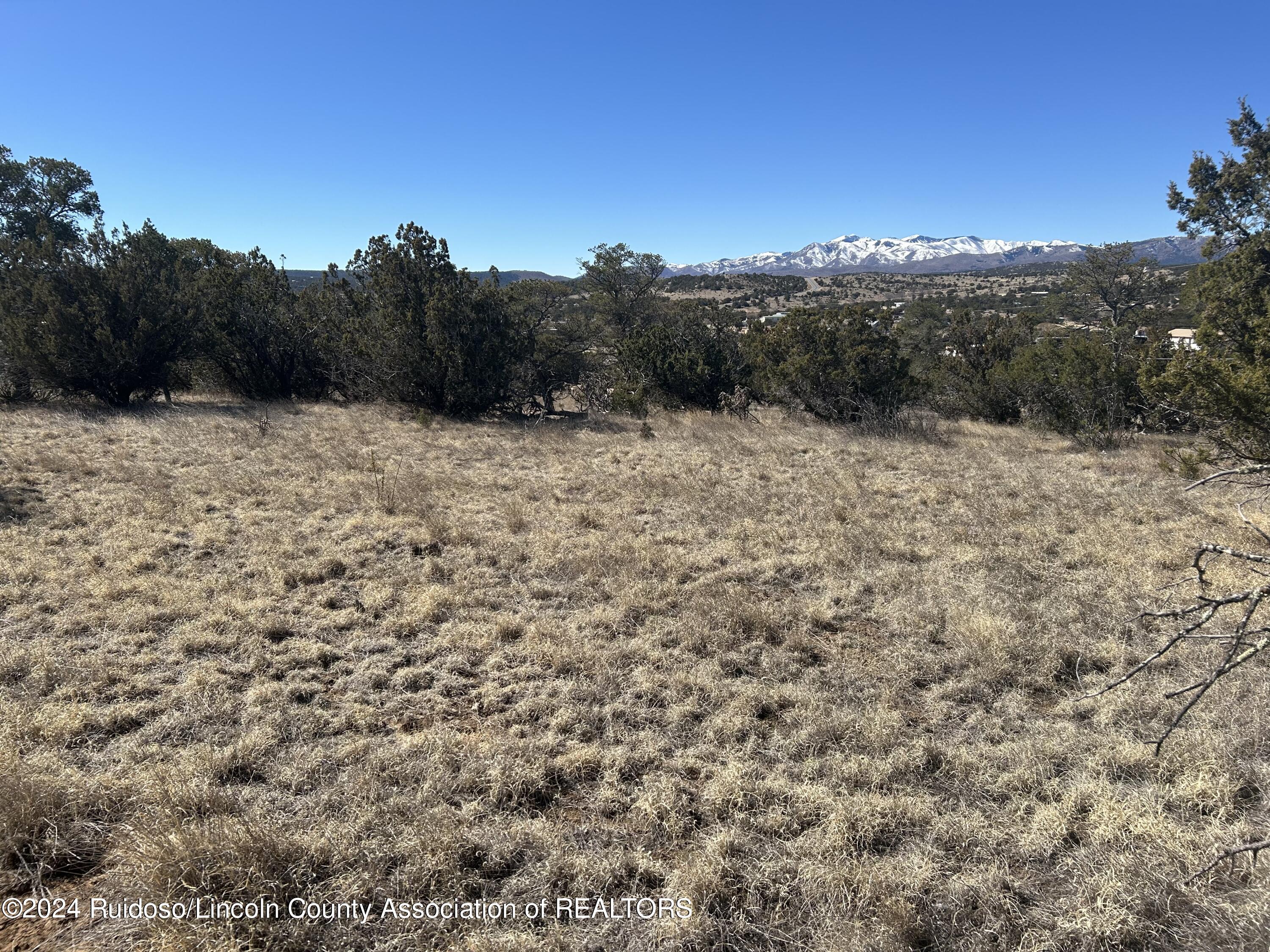 109 Crest View Road, Capitan, New Mexico image 4