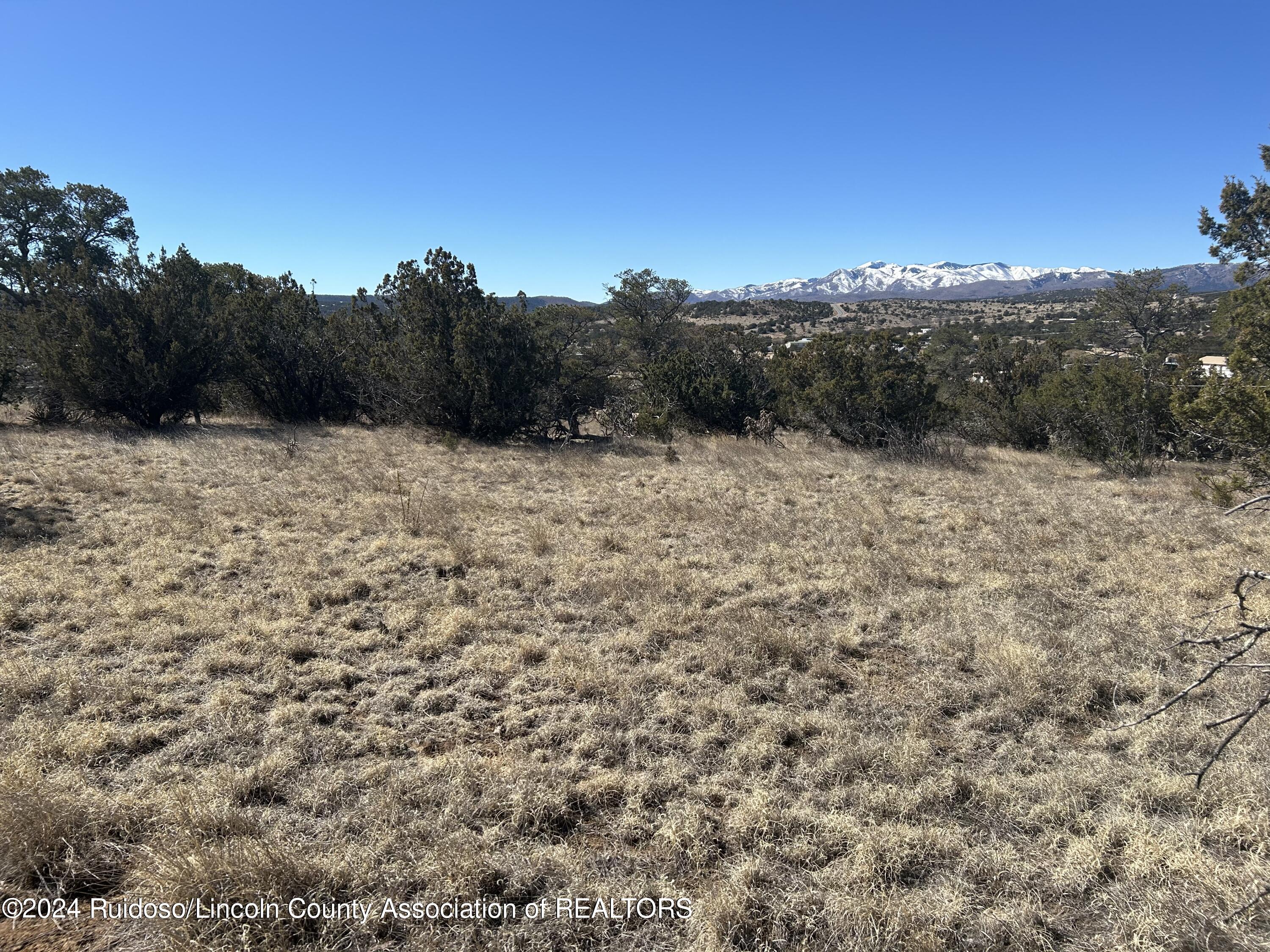 109 Crest View Road, Capitan, New Mexico image 11