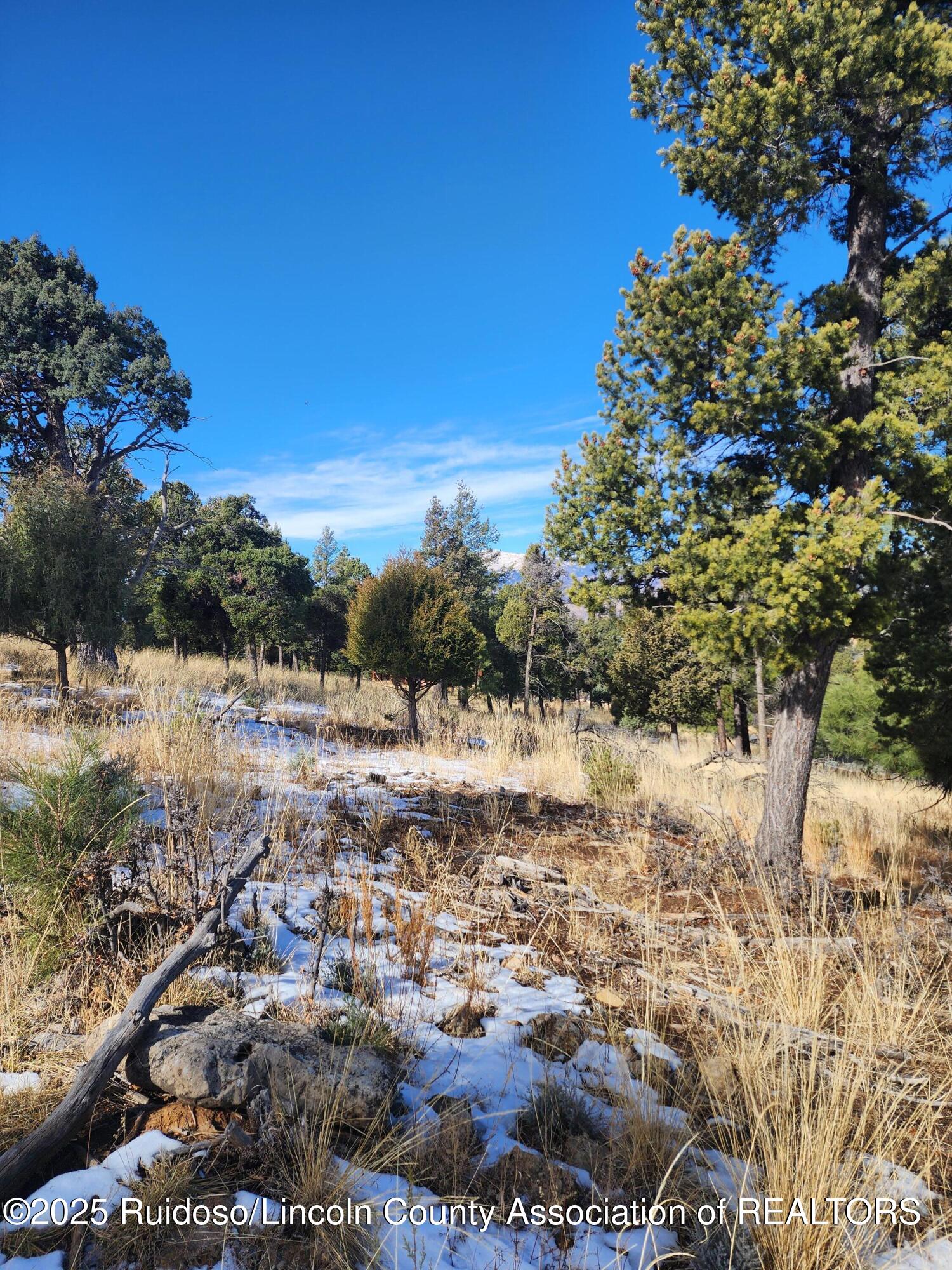 229 Cummings Drive, Ruidoso, New Mexico image 8