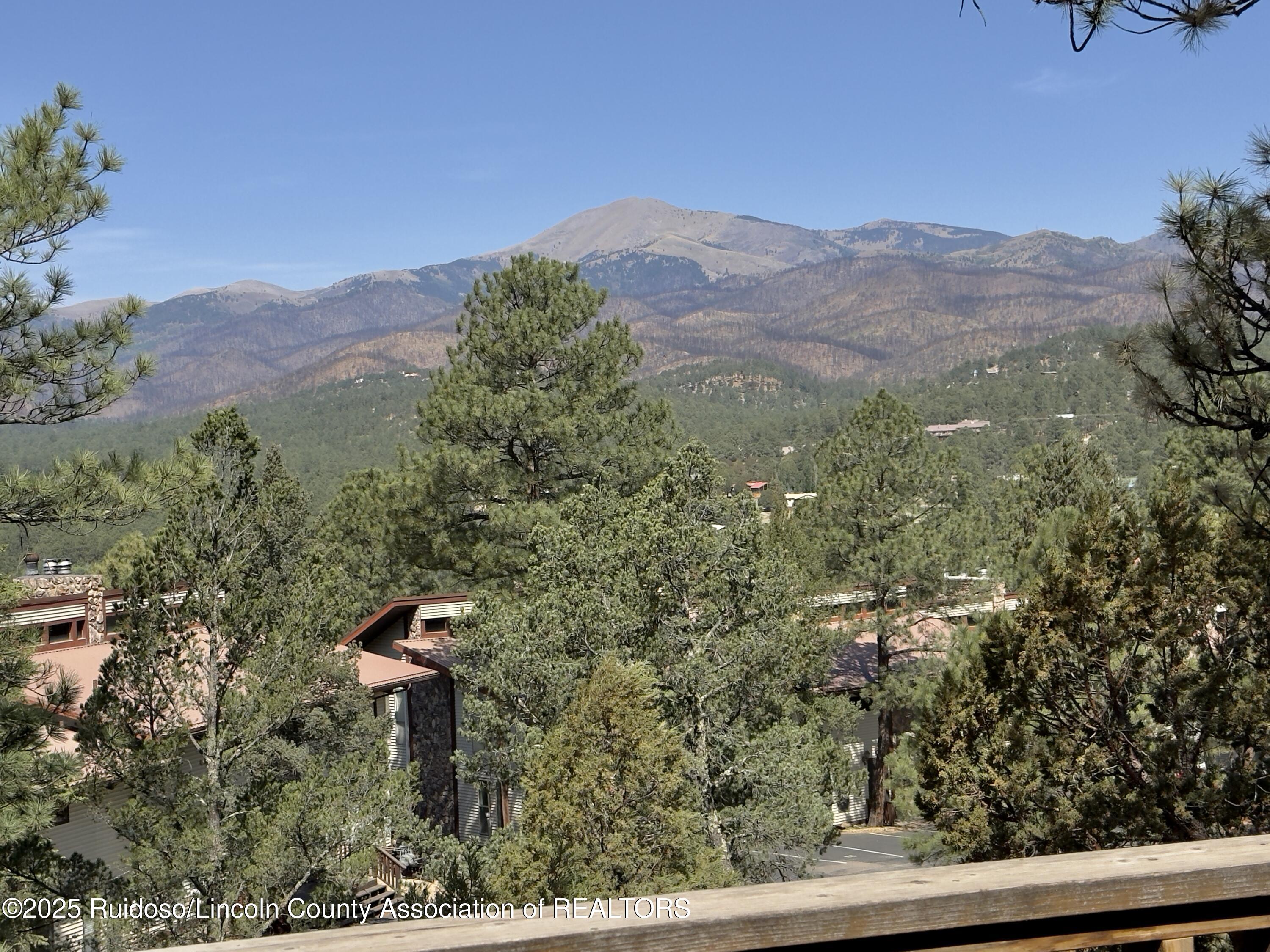 220 Lookout Drive #b2 Dr, Ruidoso, New Mexico image 21