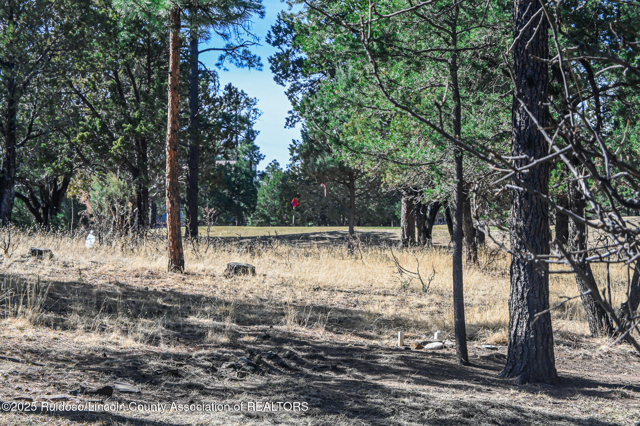 112 Tanglewood Lane, Alto, New Mexico image 8