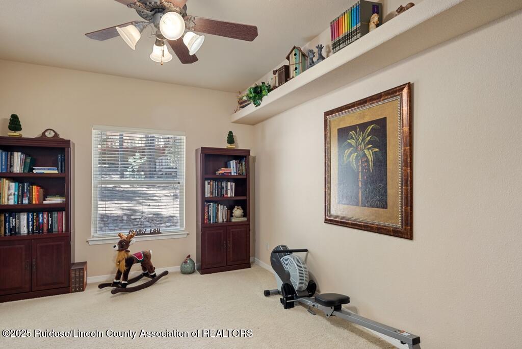 102 Pinehurst Road, Alto, New Mexico image 44