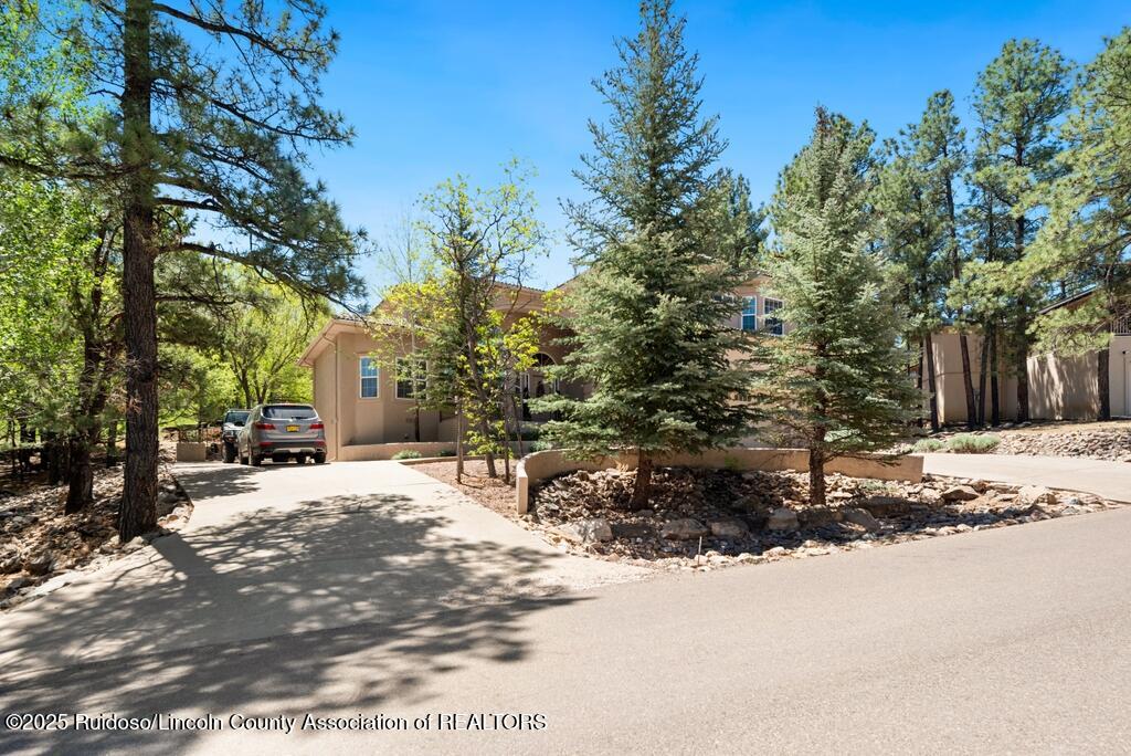 102 Pinehurst Road, Alto, New Mexico image 3