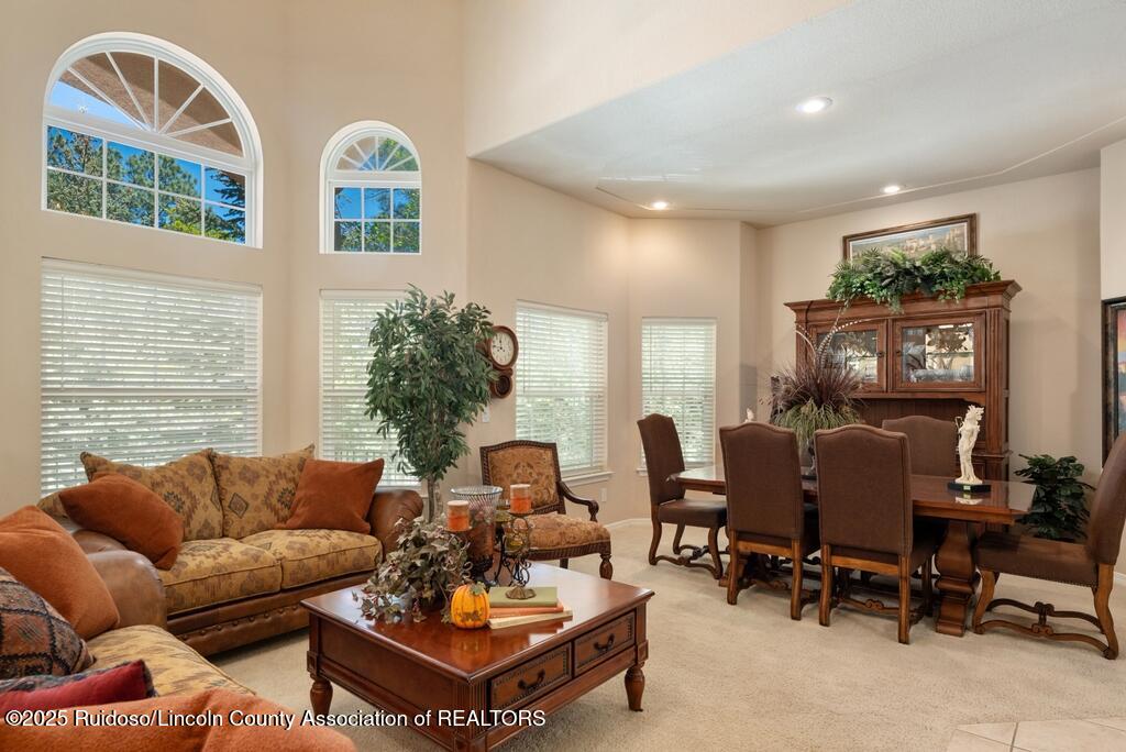 102 Pinehurst Road, Alto, New Mexico image 15