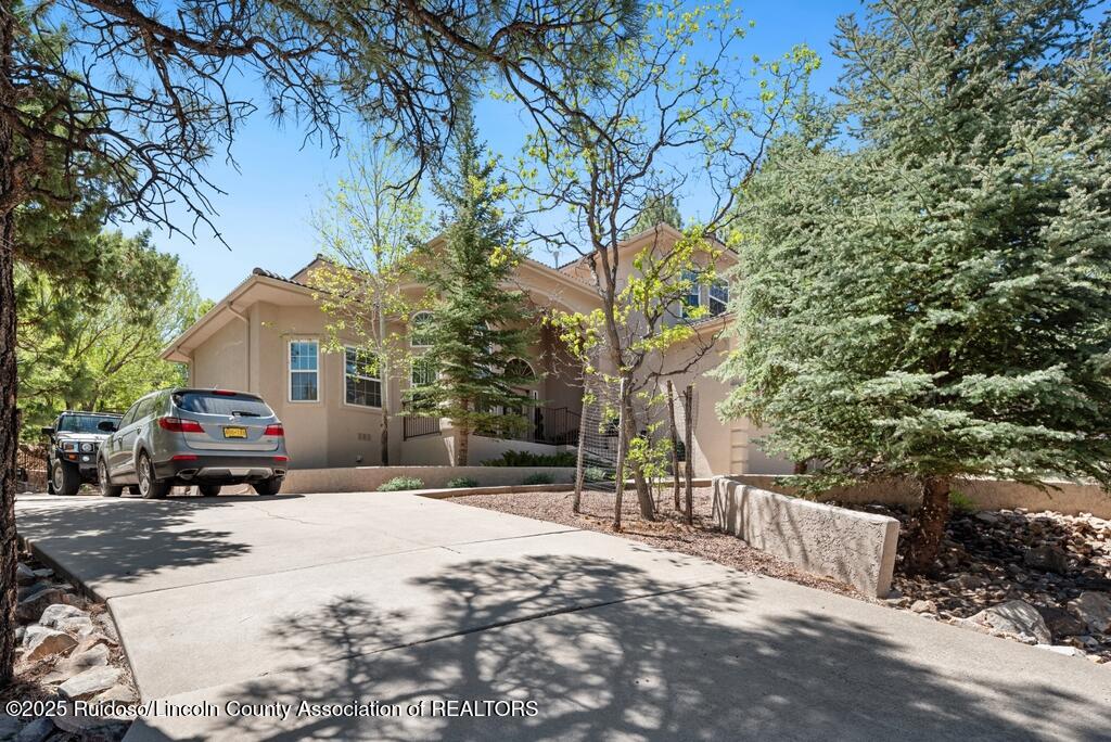 102 Pinehurst Road, Alto, New Mexico image 2