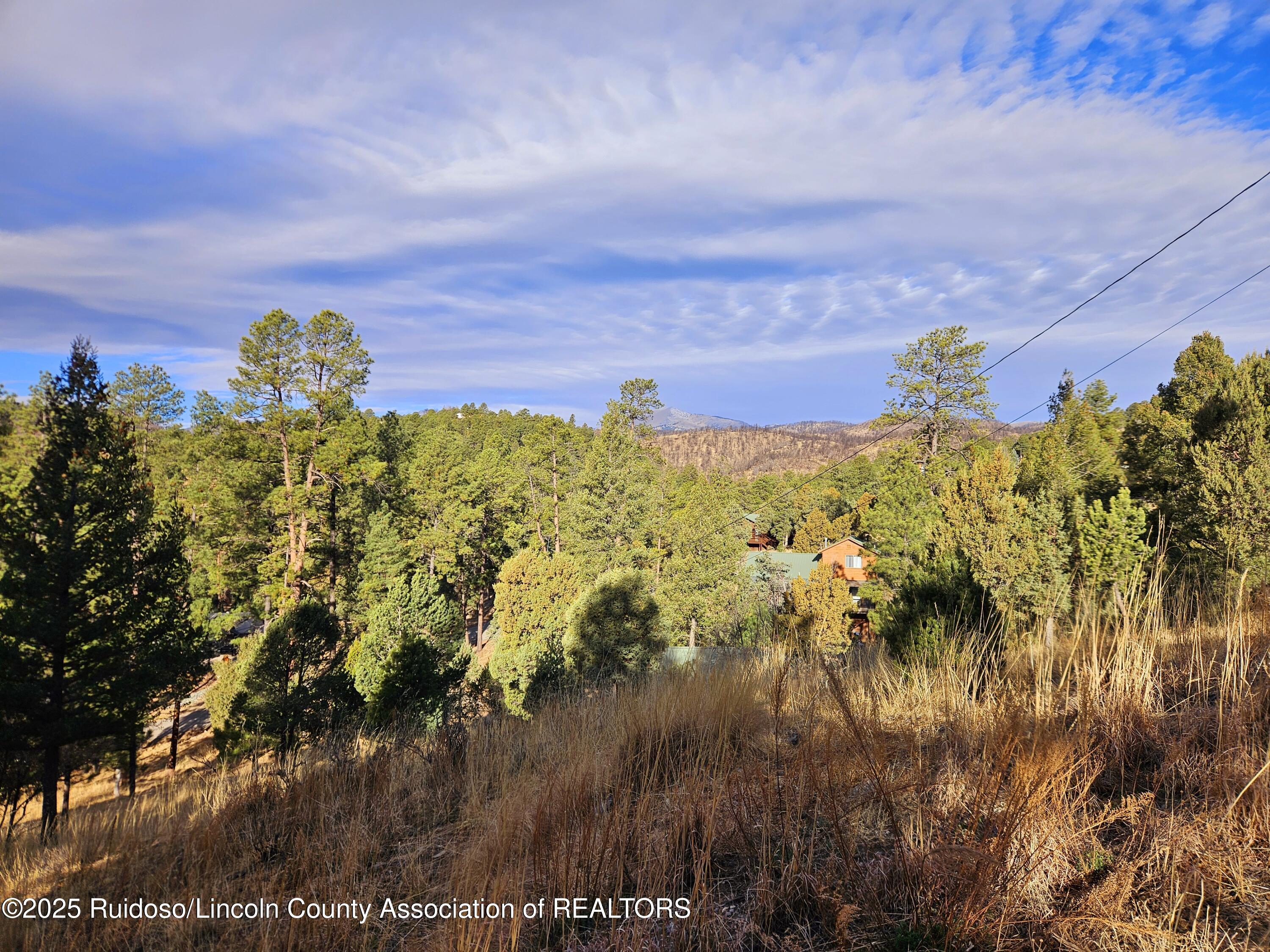 214 Maple Drive, Ruidoso, New Mexico image 4