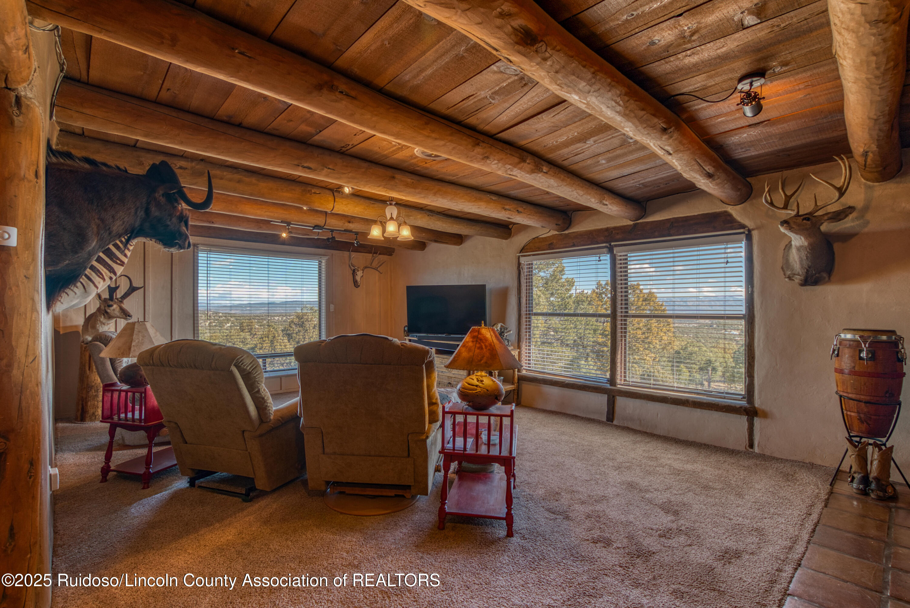 121 Buckboard Trl, Nogal, New Mexico image 12