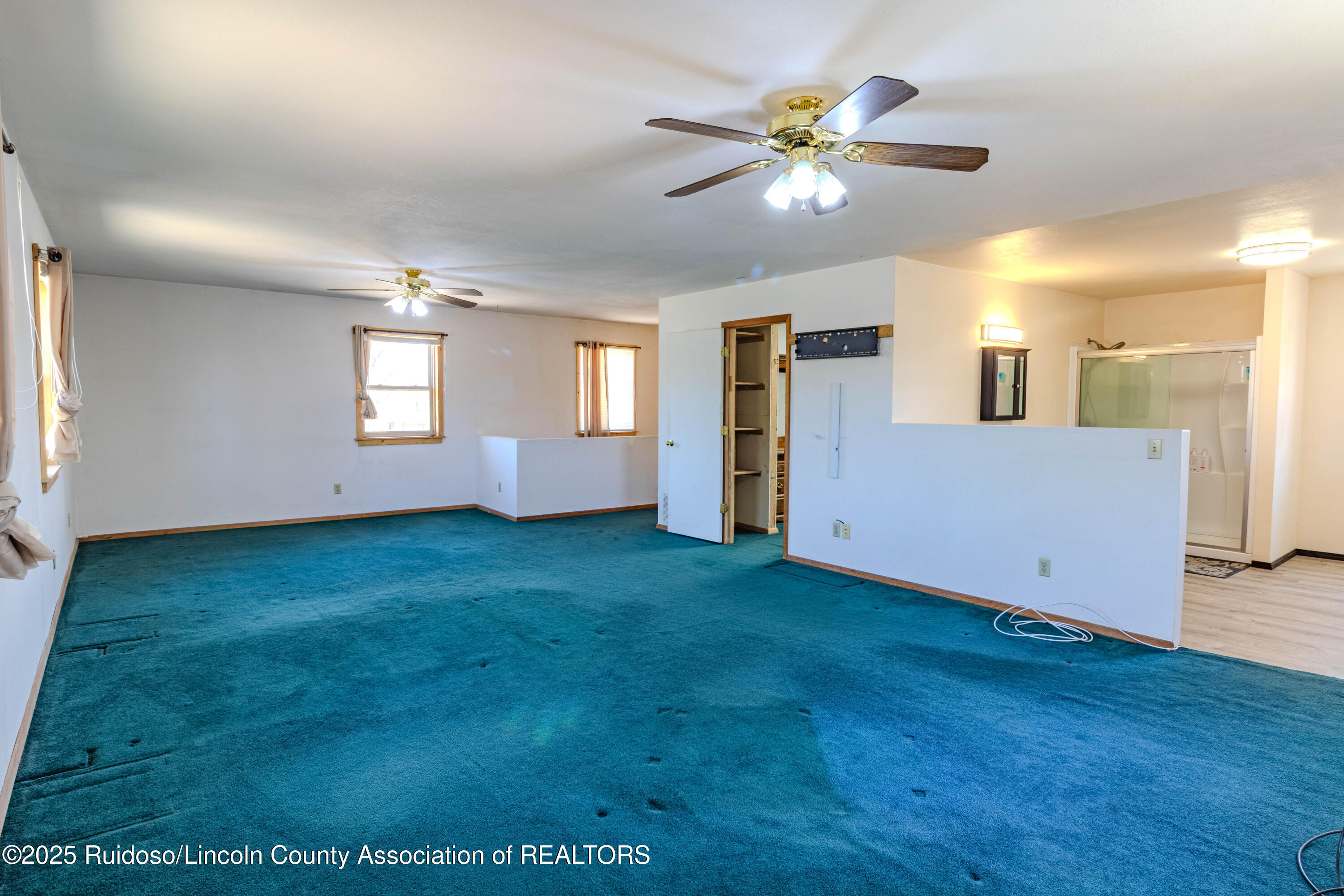 104 Pine Lodge Road, Capitan, New Mexico image 22