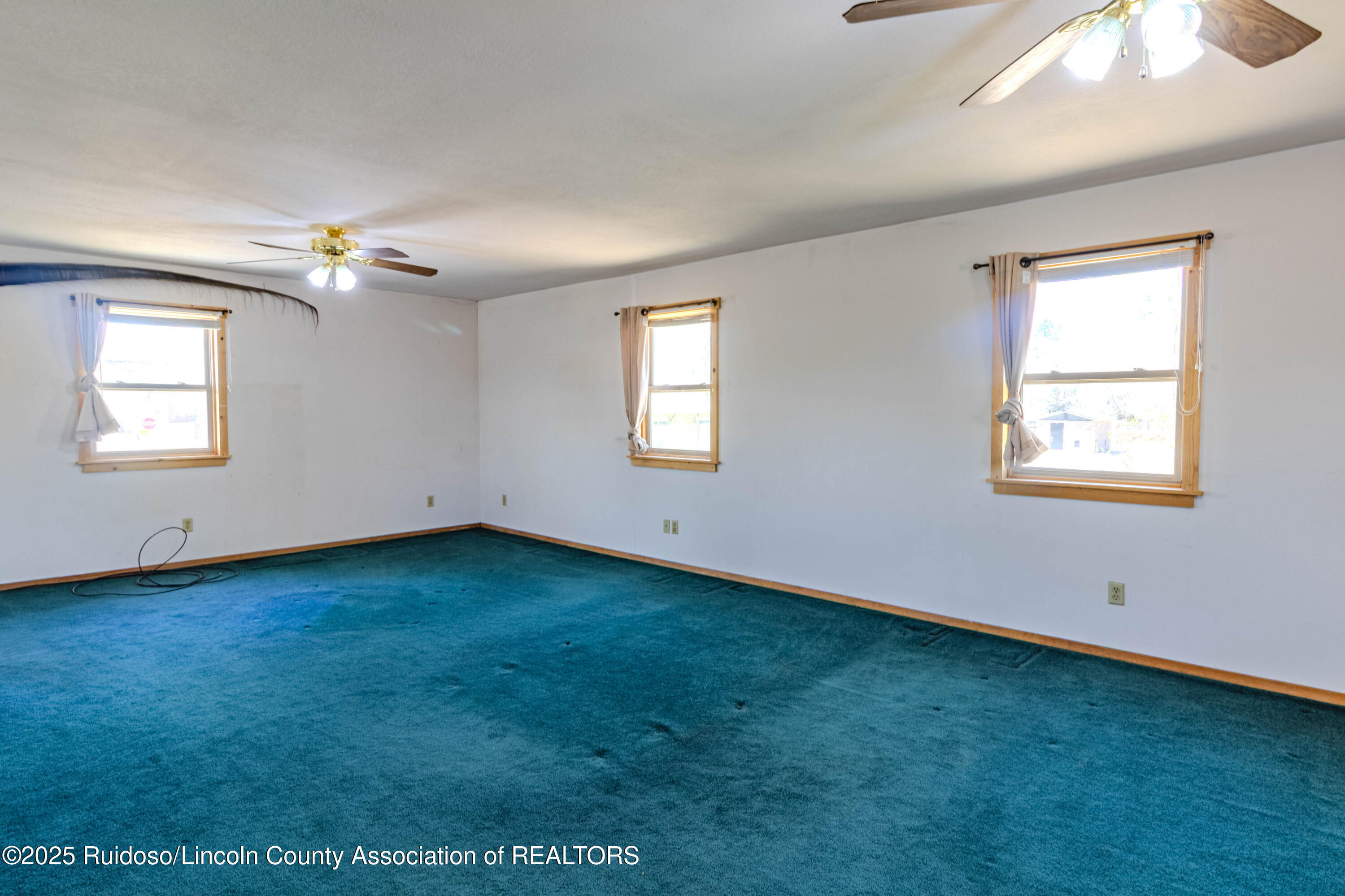 104 Pine Lodge Road, Capitan, New Mexico image 20