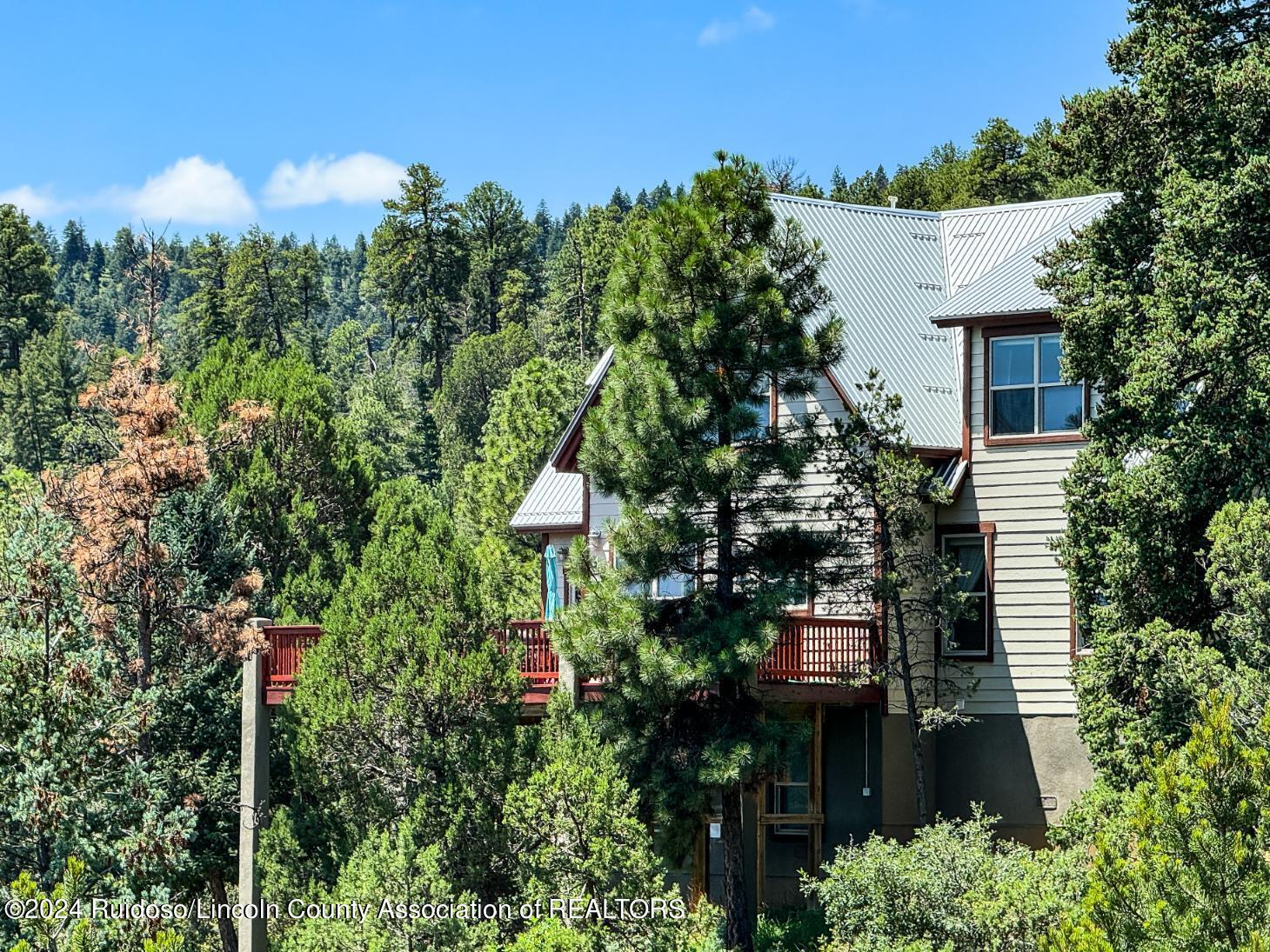 105 Abbey Place, Ruidoso, New Mexico image 27