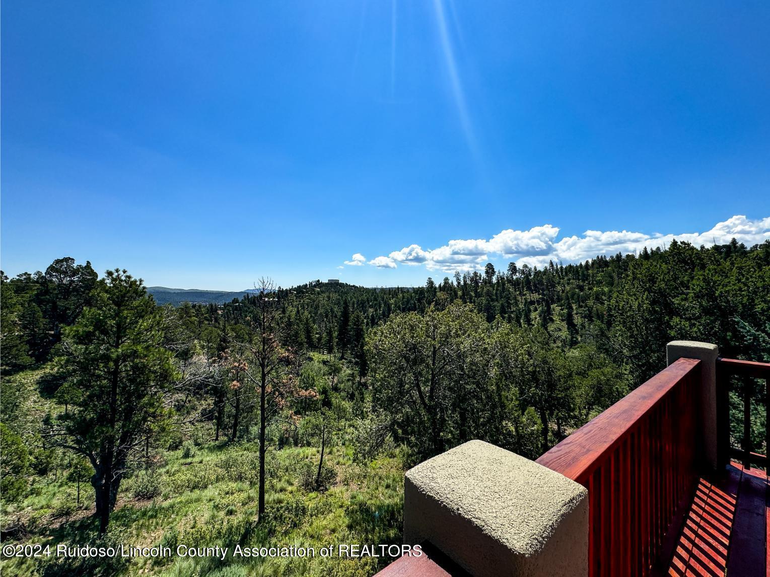 105 Abbey Place, Ruidoso, New Mexico image 23