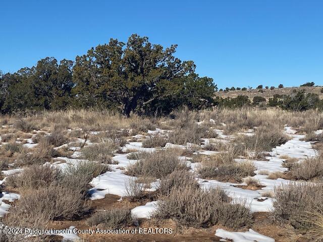 211 Windmill Ranches, Ancho, New Mexico image 3