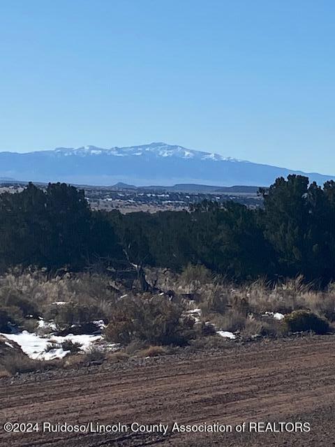 211 Windmill Ranches, Ancho, New Mexico image 6