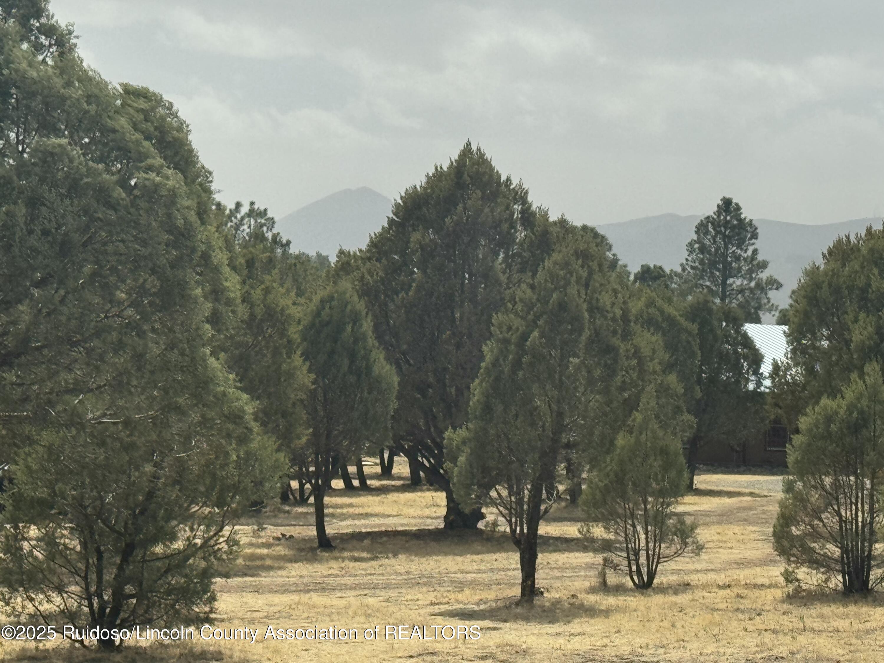Lot 151 Reindeer Drive, Alto, New Mexico image 1