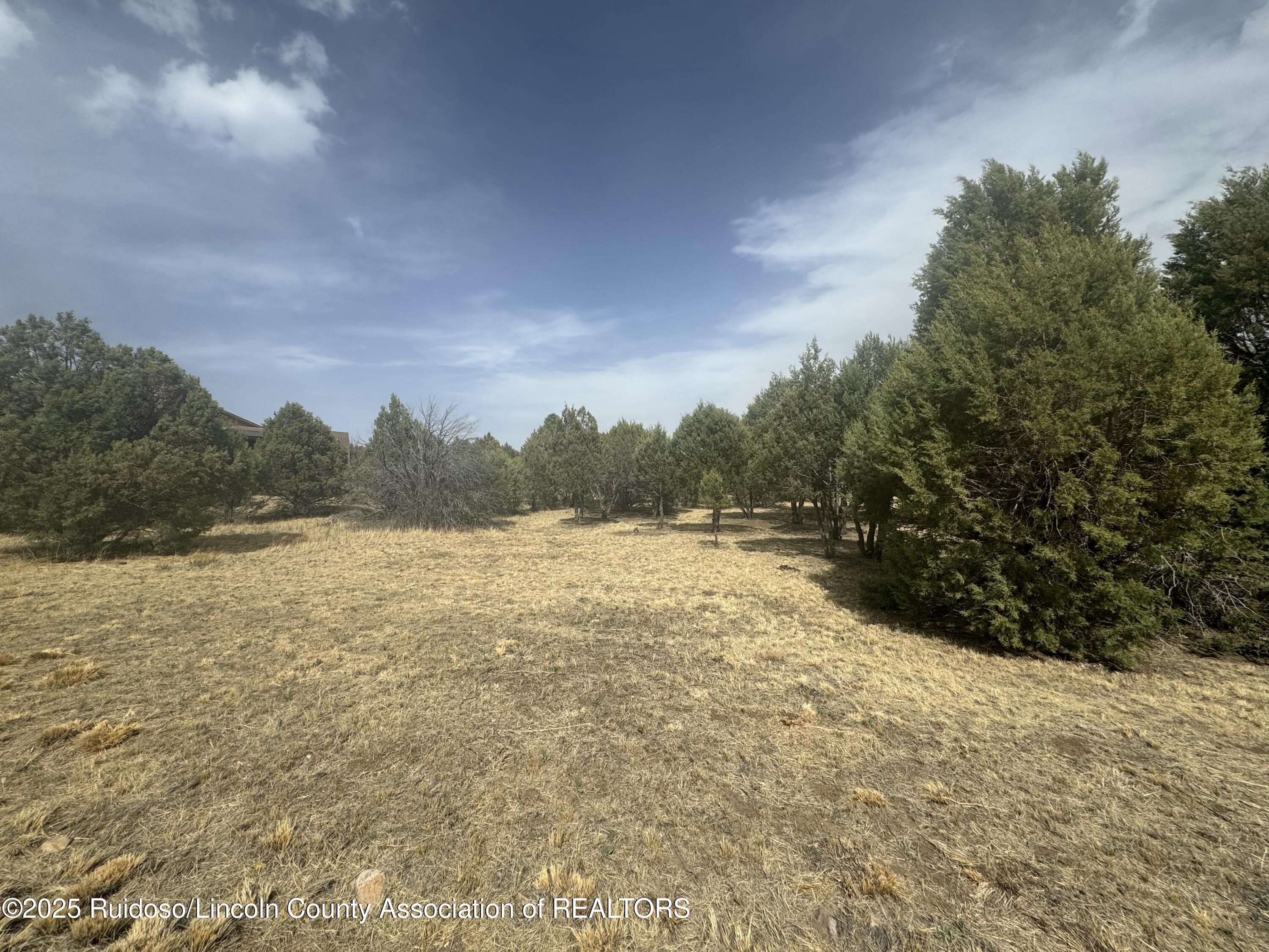 Lot 151 Reindeer Drive, Alto, New Mexico image 2