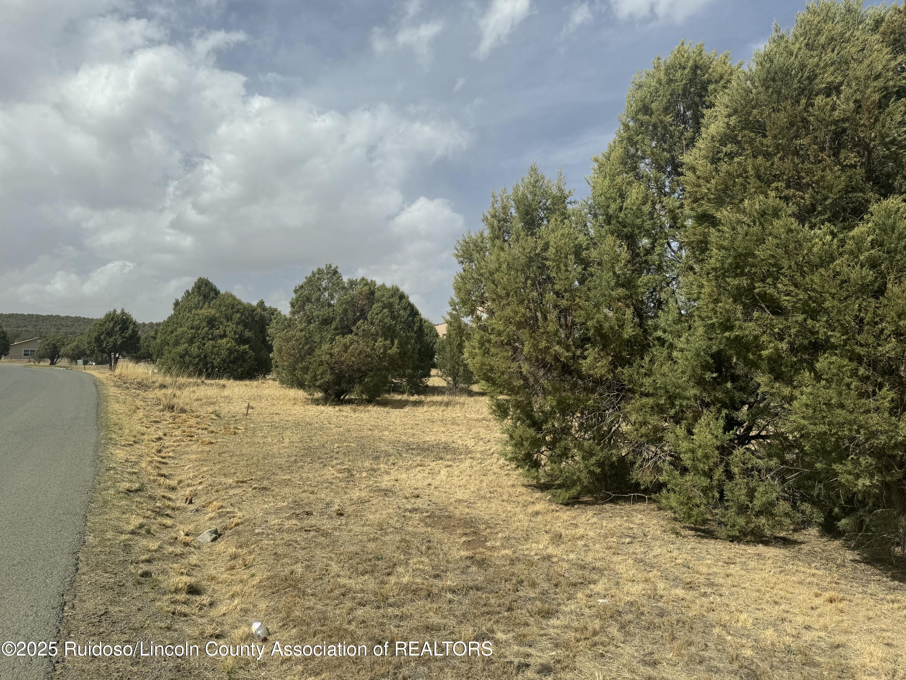 Lot 151 Reindeer Drive, Alto, New Mexico image 3