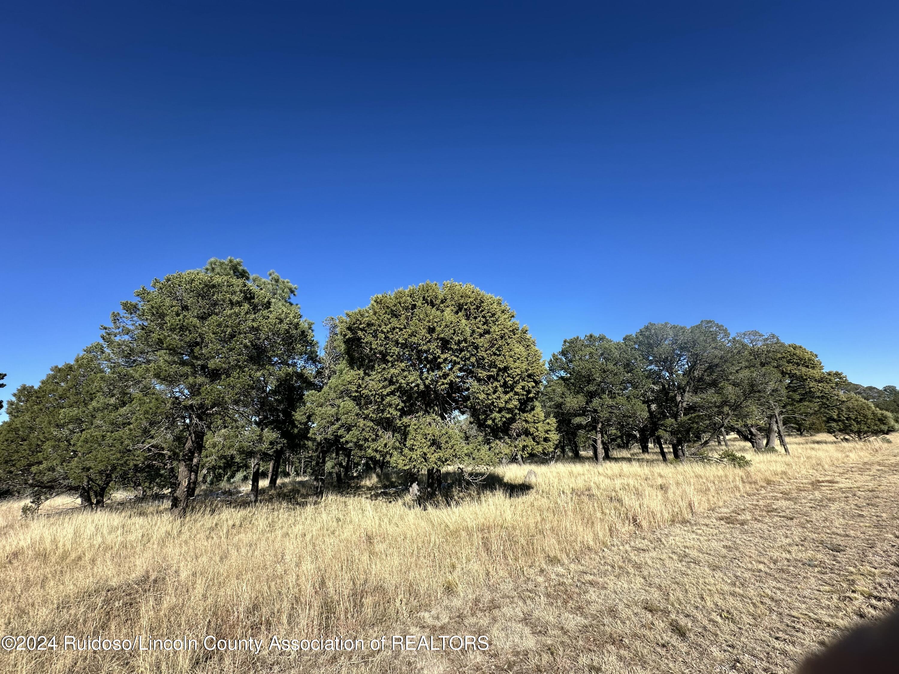 16 Eagle Ridge Road, Alto, New Mexico image 14