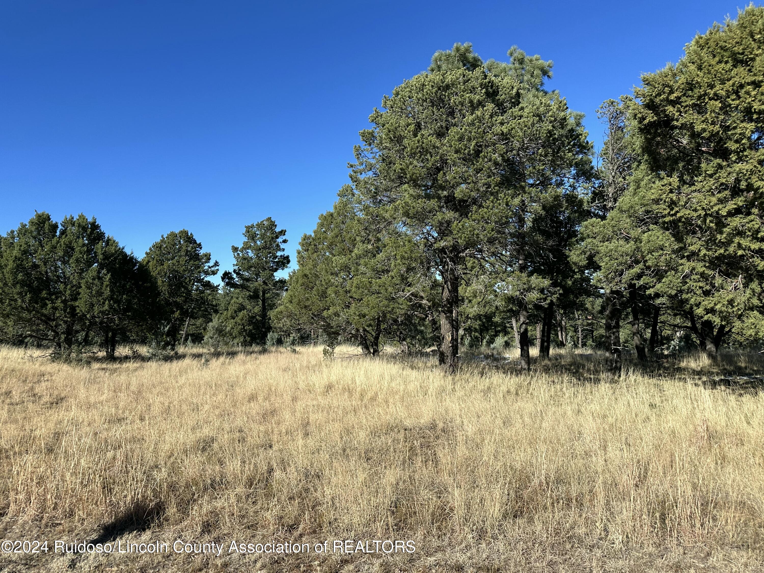 16 Eagle Ridge Road, Alto, New Mexico image 13